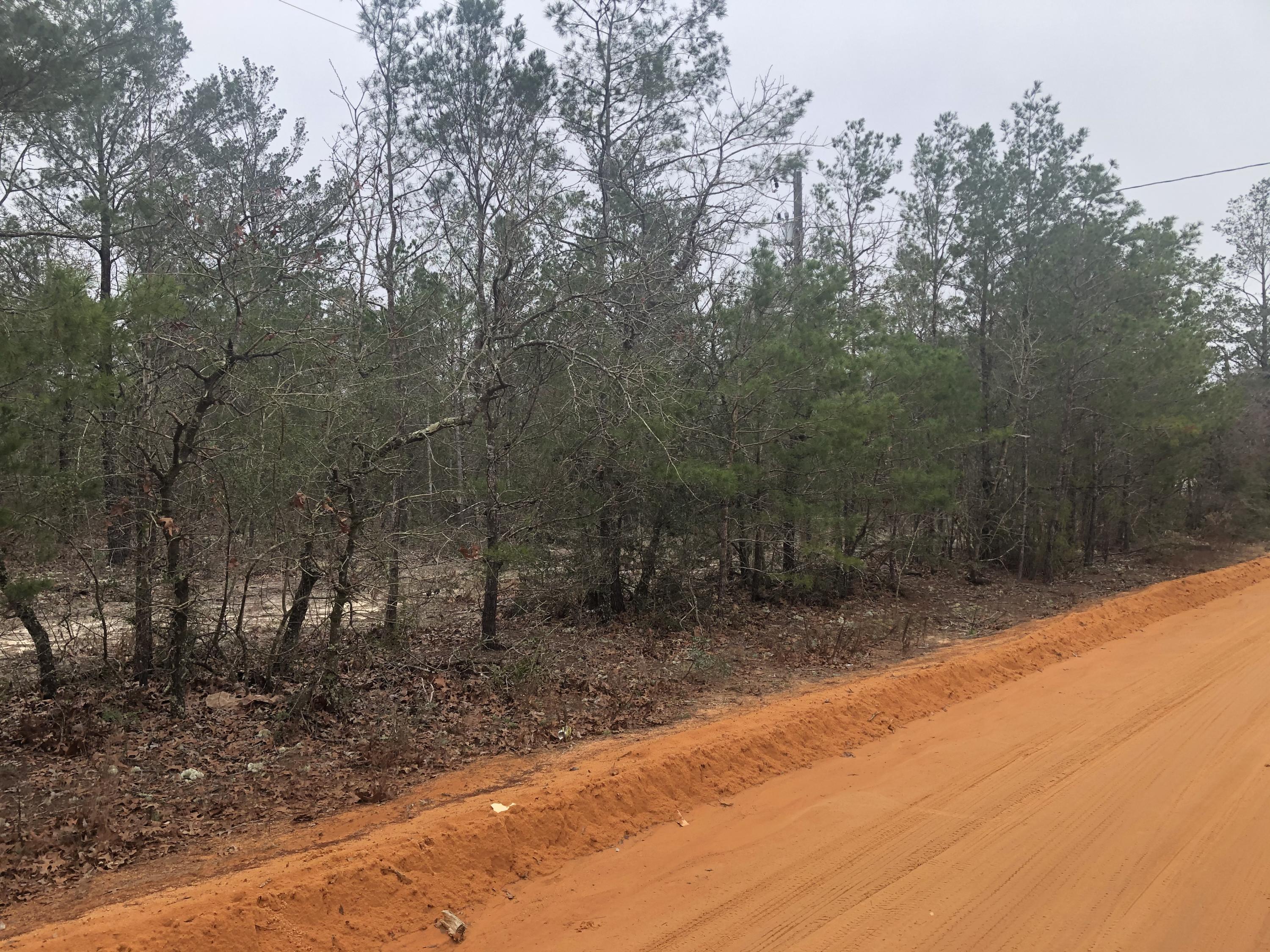 Beautiful wooded lot on County maintained Rd in a very quiet area of Oakwood Hills.  Great location to make your new home.