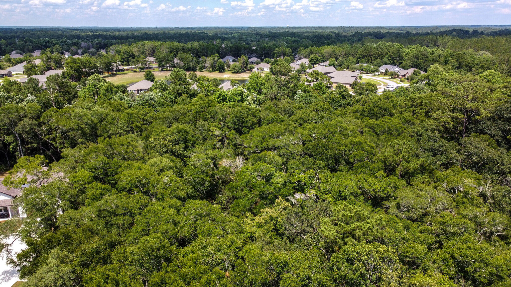HAMMOCK BAY - Land