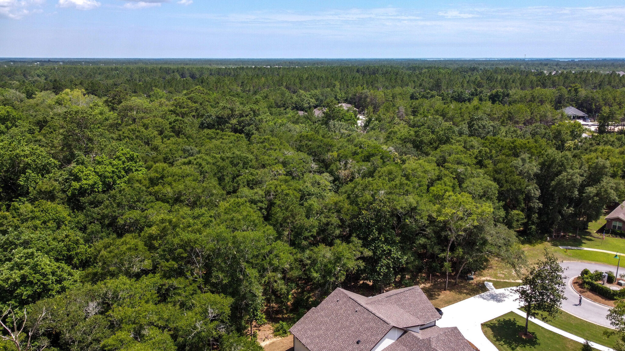 HAMMOCK BAY - Land