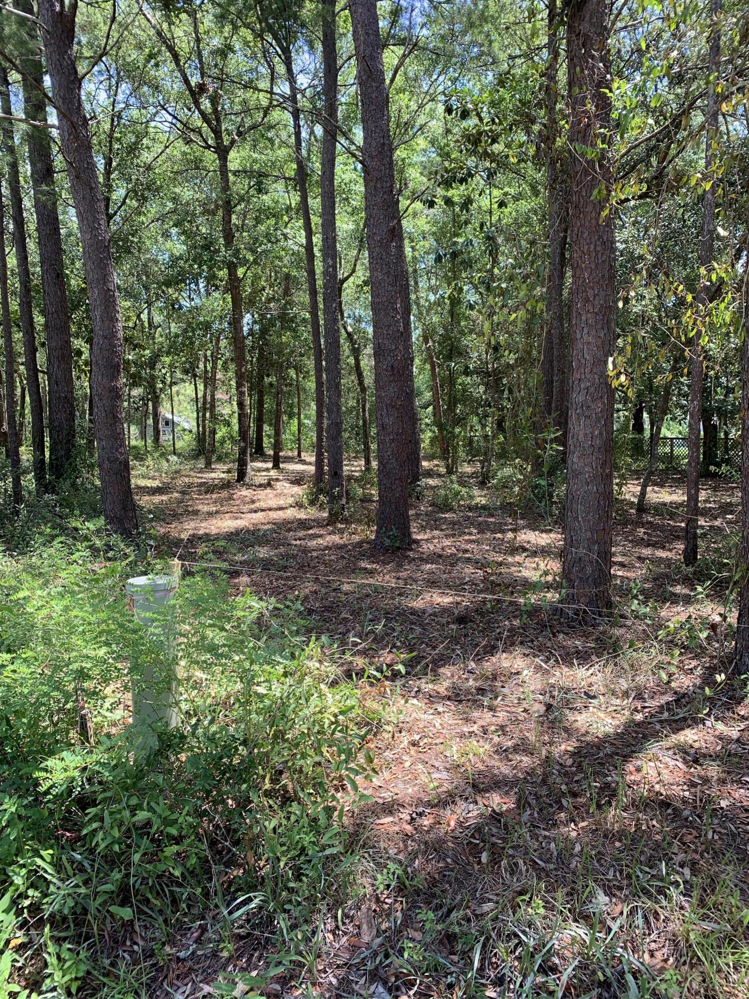 Canal front lots in Pt Washington rarely come on the market. Lot is 200 ft deep with 44 ft of frontage on the curve of the canal. This location is a boater's dream. Recently bush hogged so its easy to walk the lot. Survey is available.