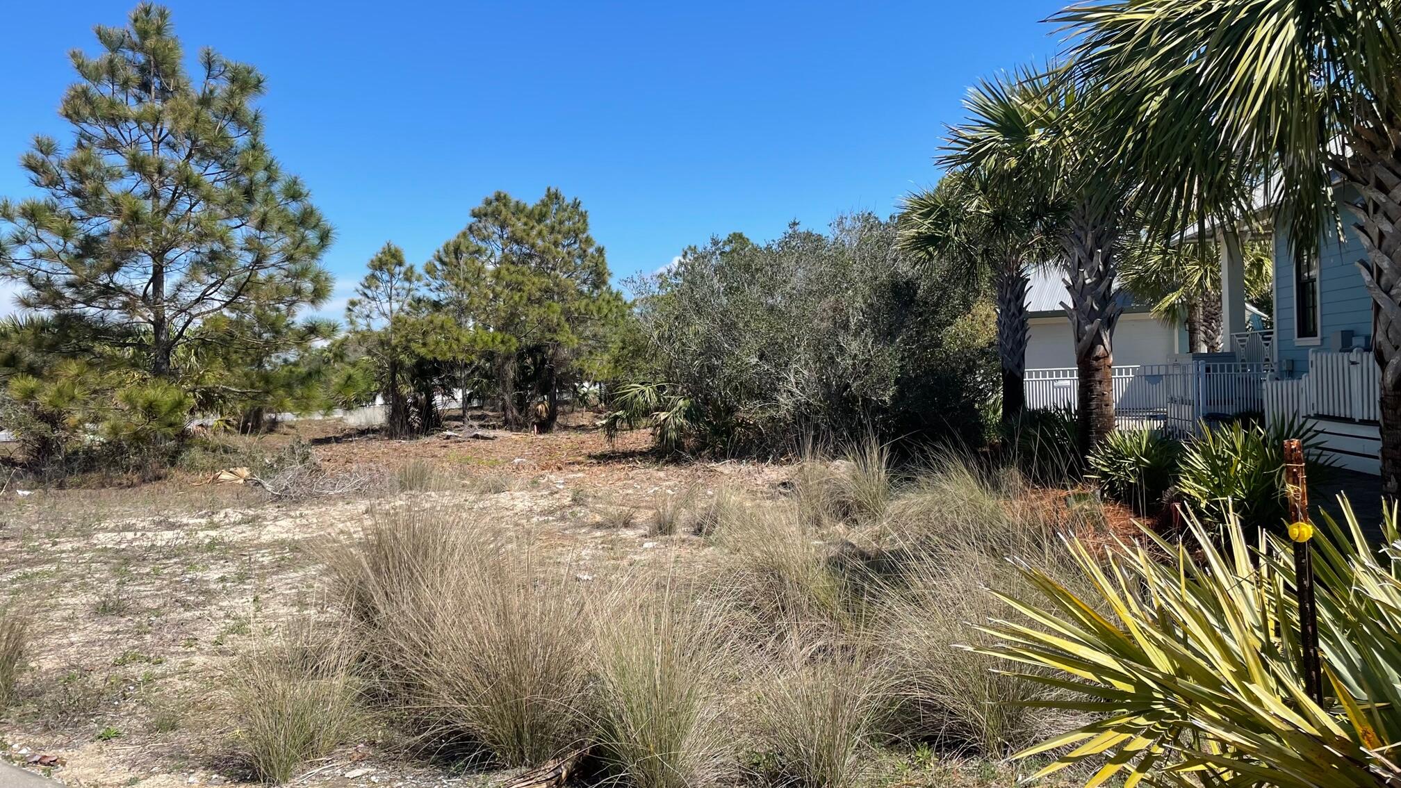 Large one-back lot from the Gulf of Mexico.  Lot can accommodate a two-story house with tower and a two-story guest house.