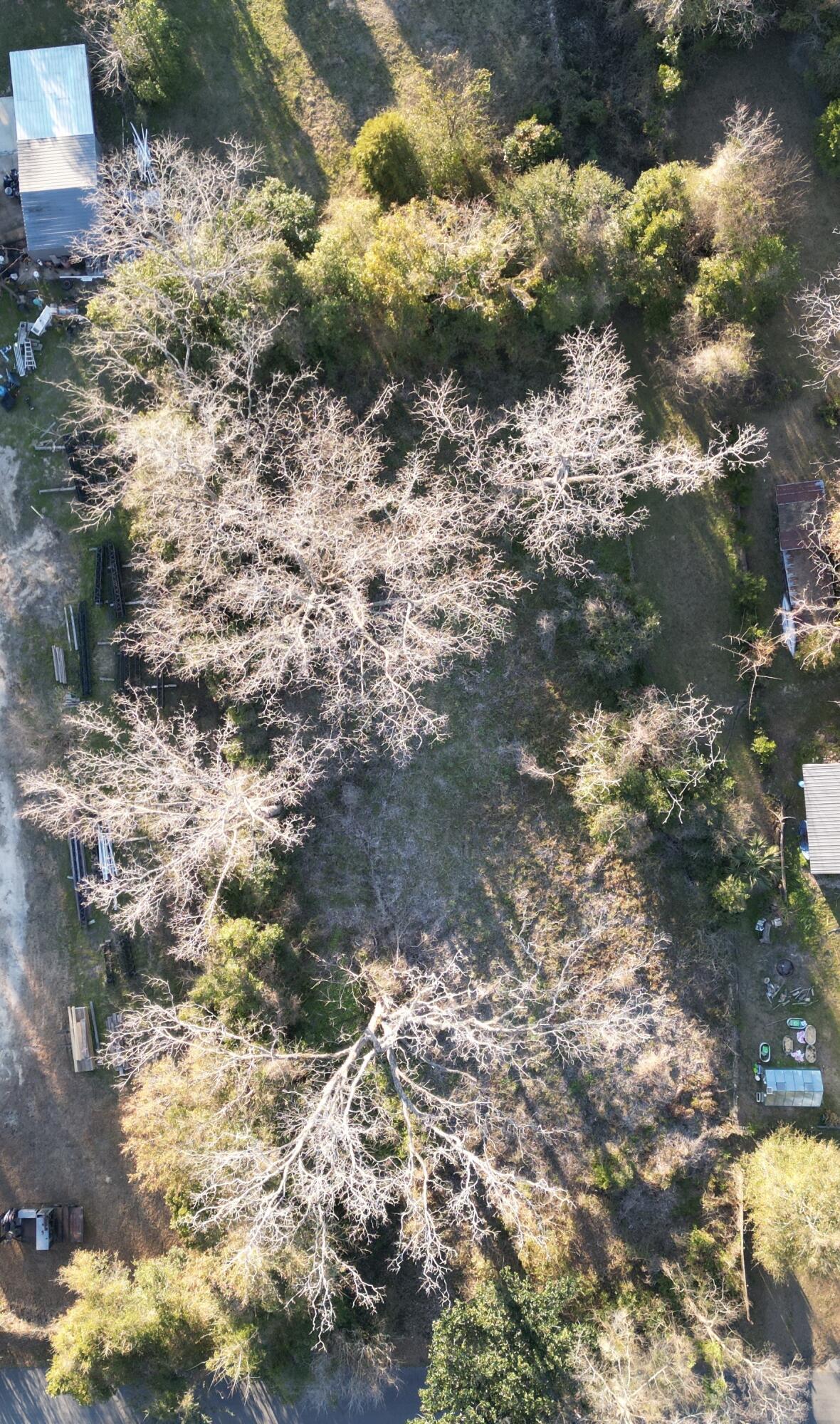 none - Land