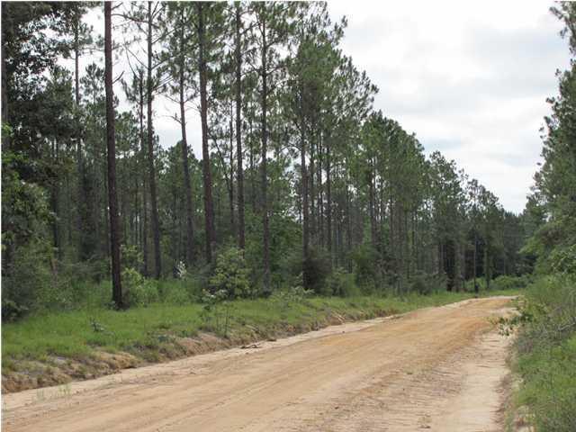 WALTON PLANTATION - Land