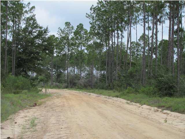 WALTON PLANTATION - Land