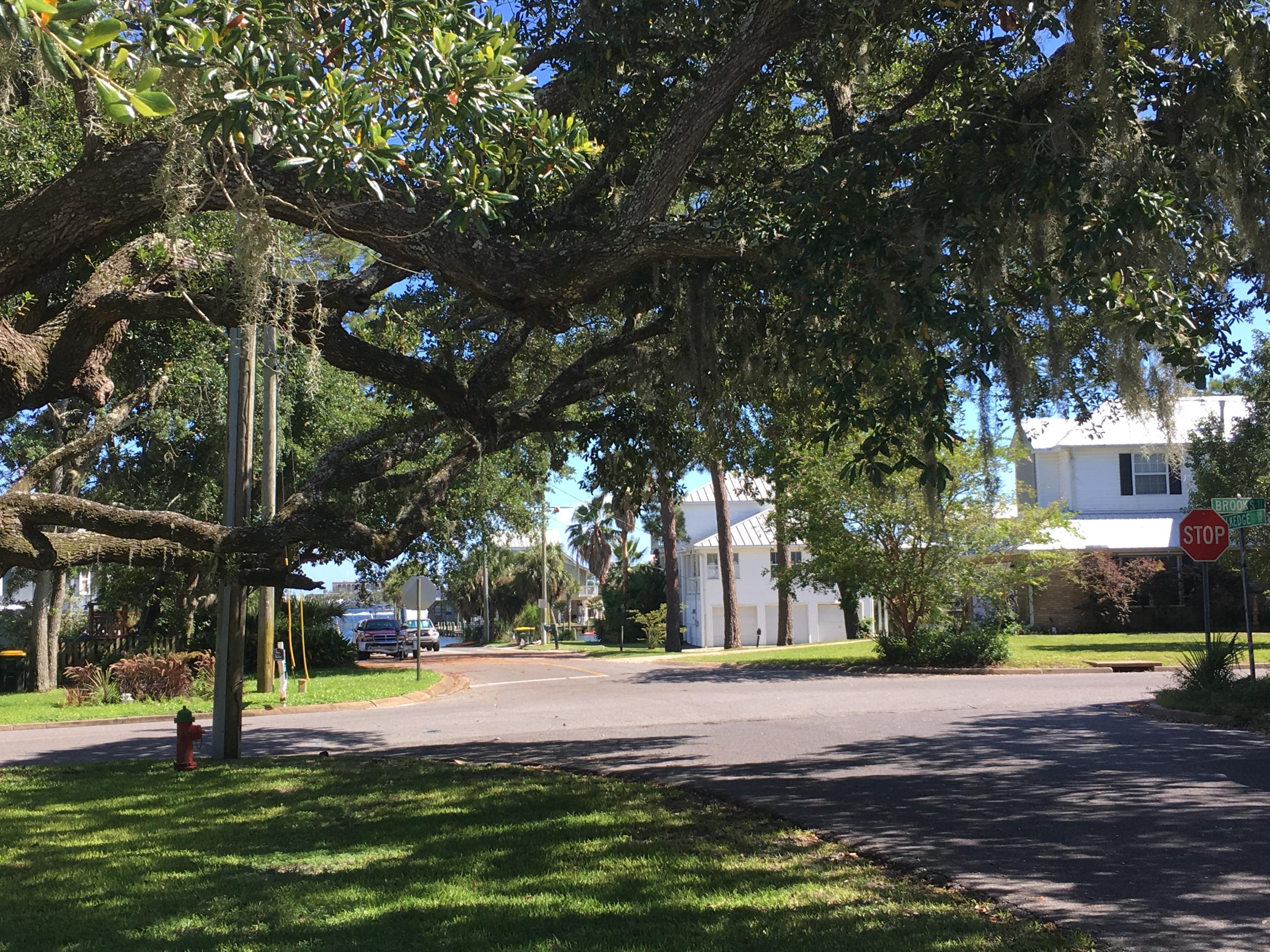 ELLIOTTS POINT - Residential