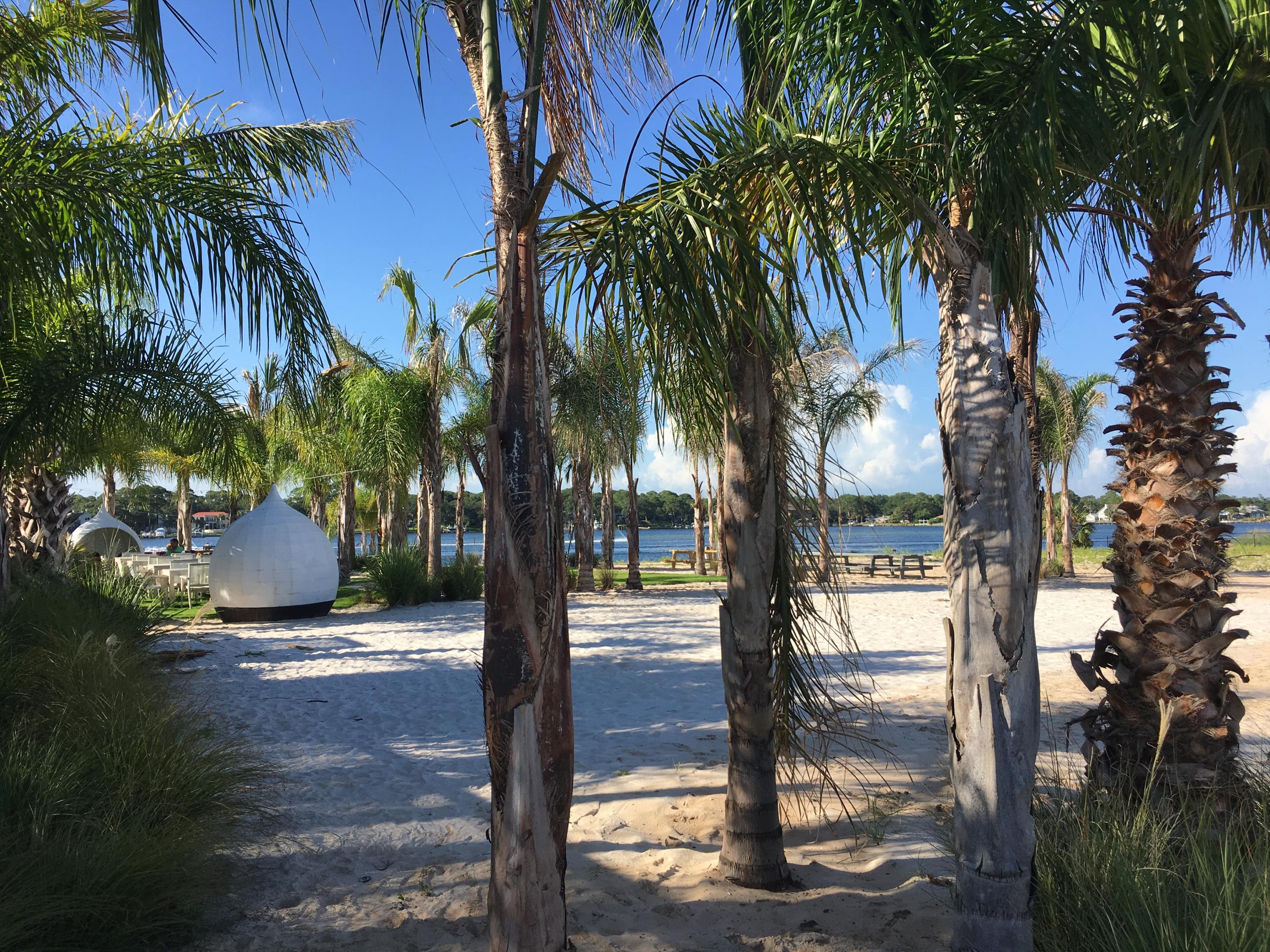 ELLIOTTS POINT - Residential