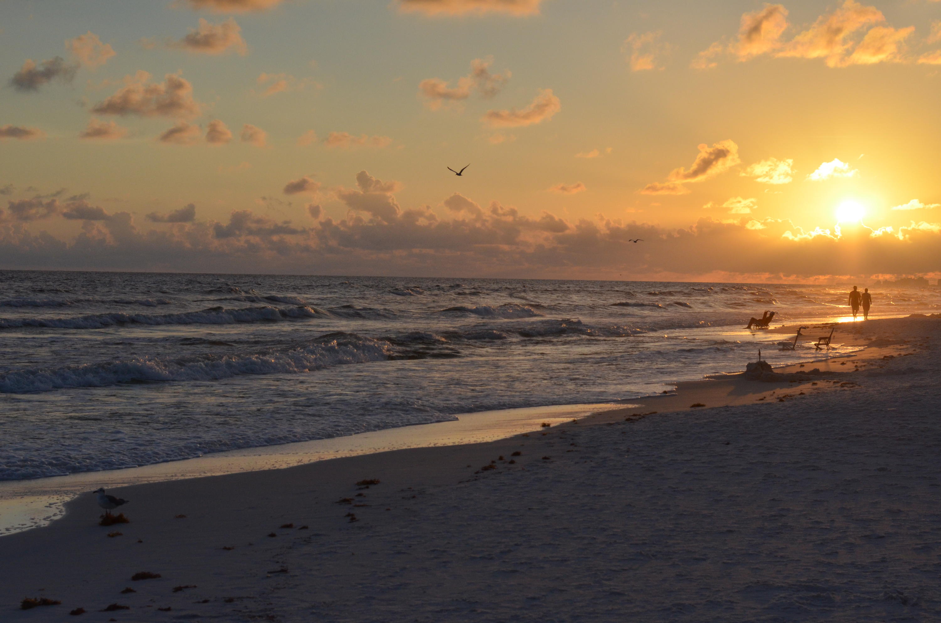BAYSIDE CONDO SANDESTIN - Residential