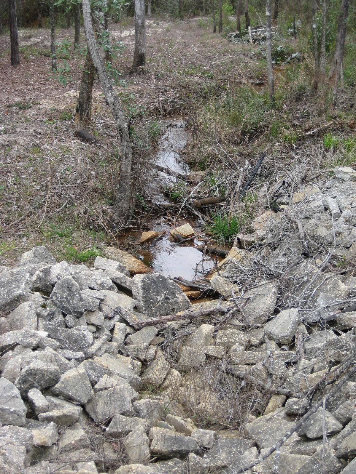 NORMANDY TERRACE 1ST - Residential