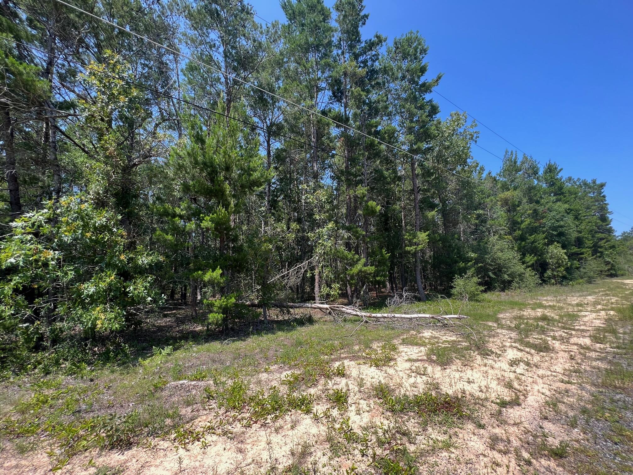 OAKWOOD HILLS UNIT 1 - Land