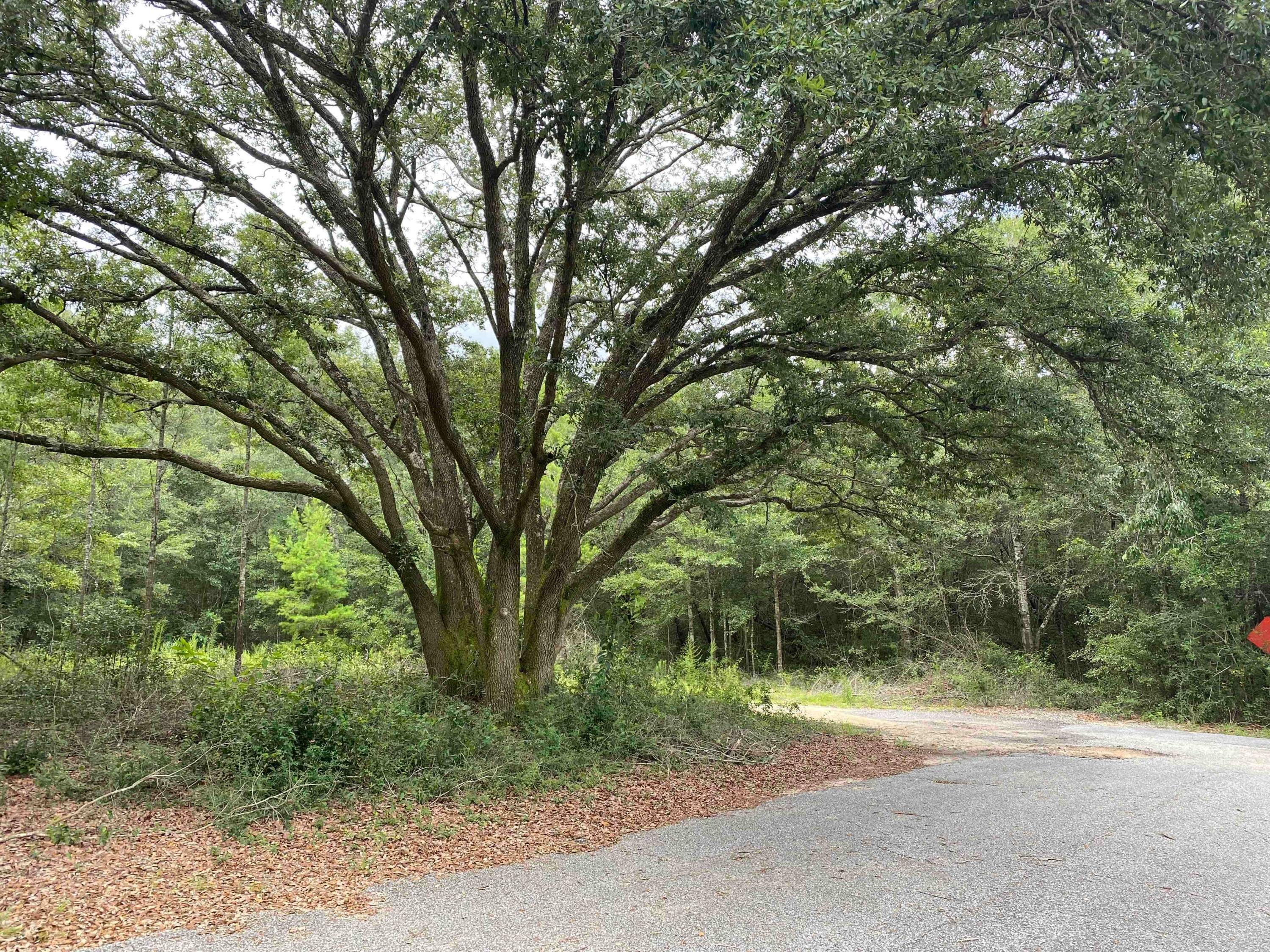 NONESUCH WAY - Land