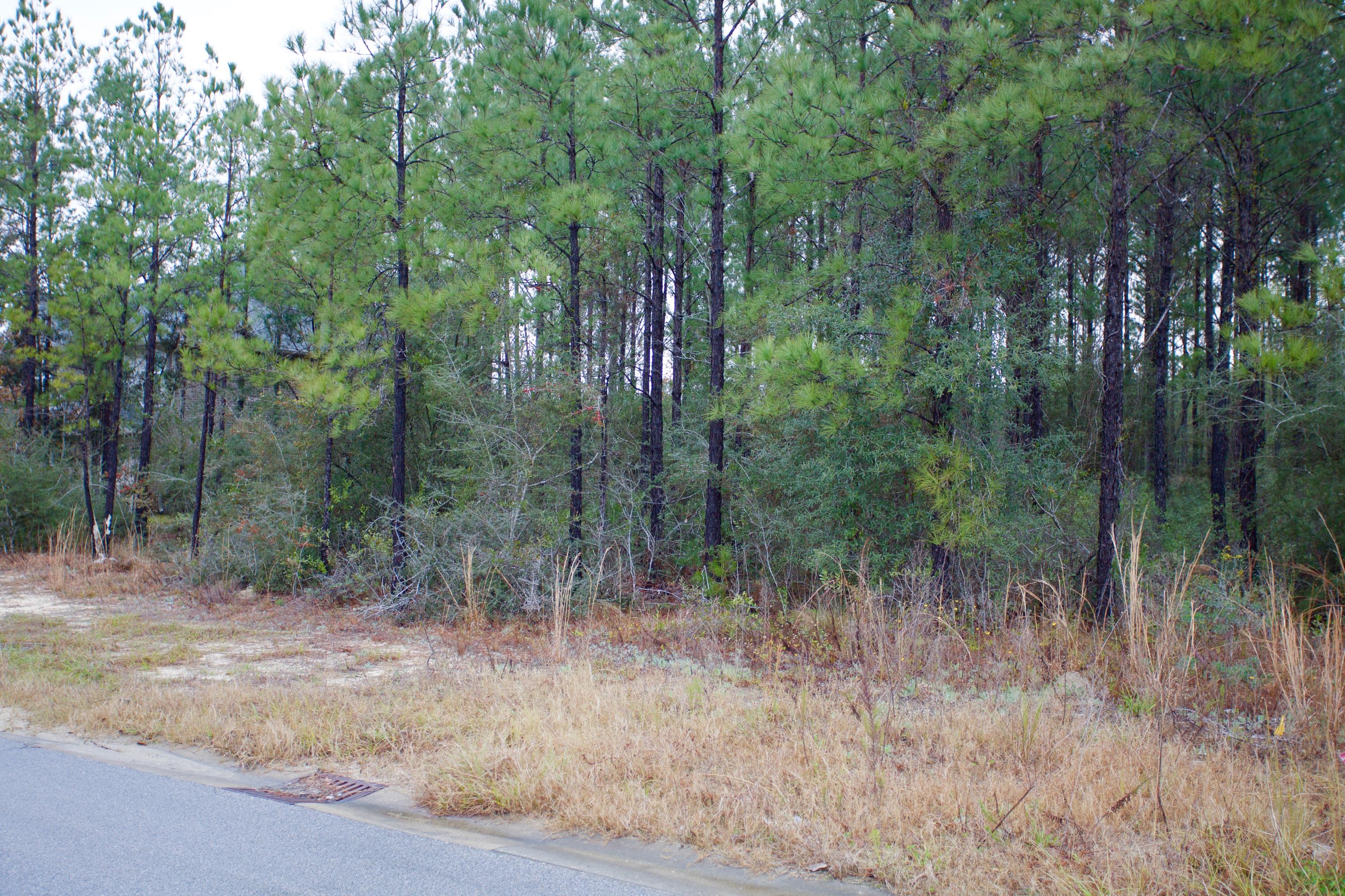 HAMMOCK BAY - Land