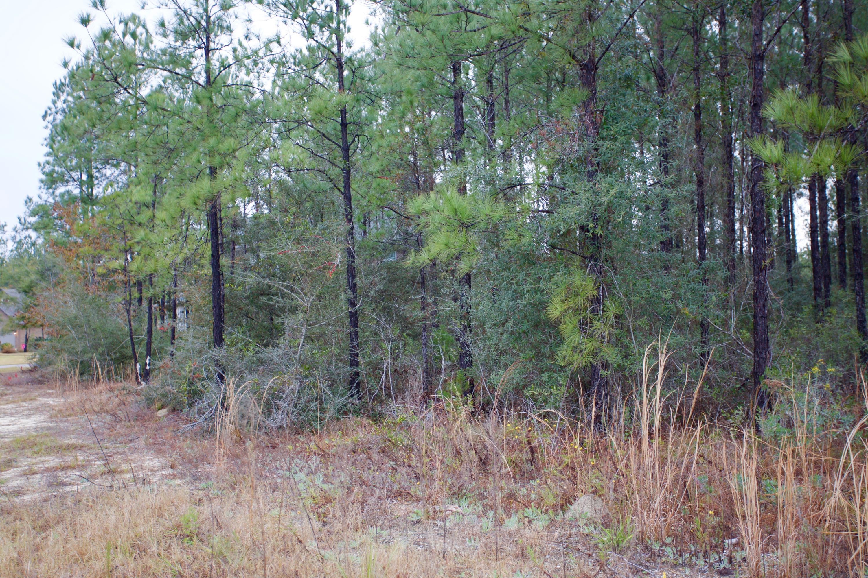 HAMMOCK BAY - Land