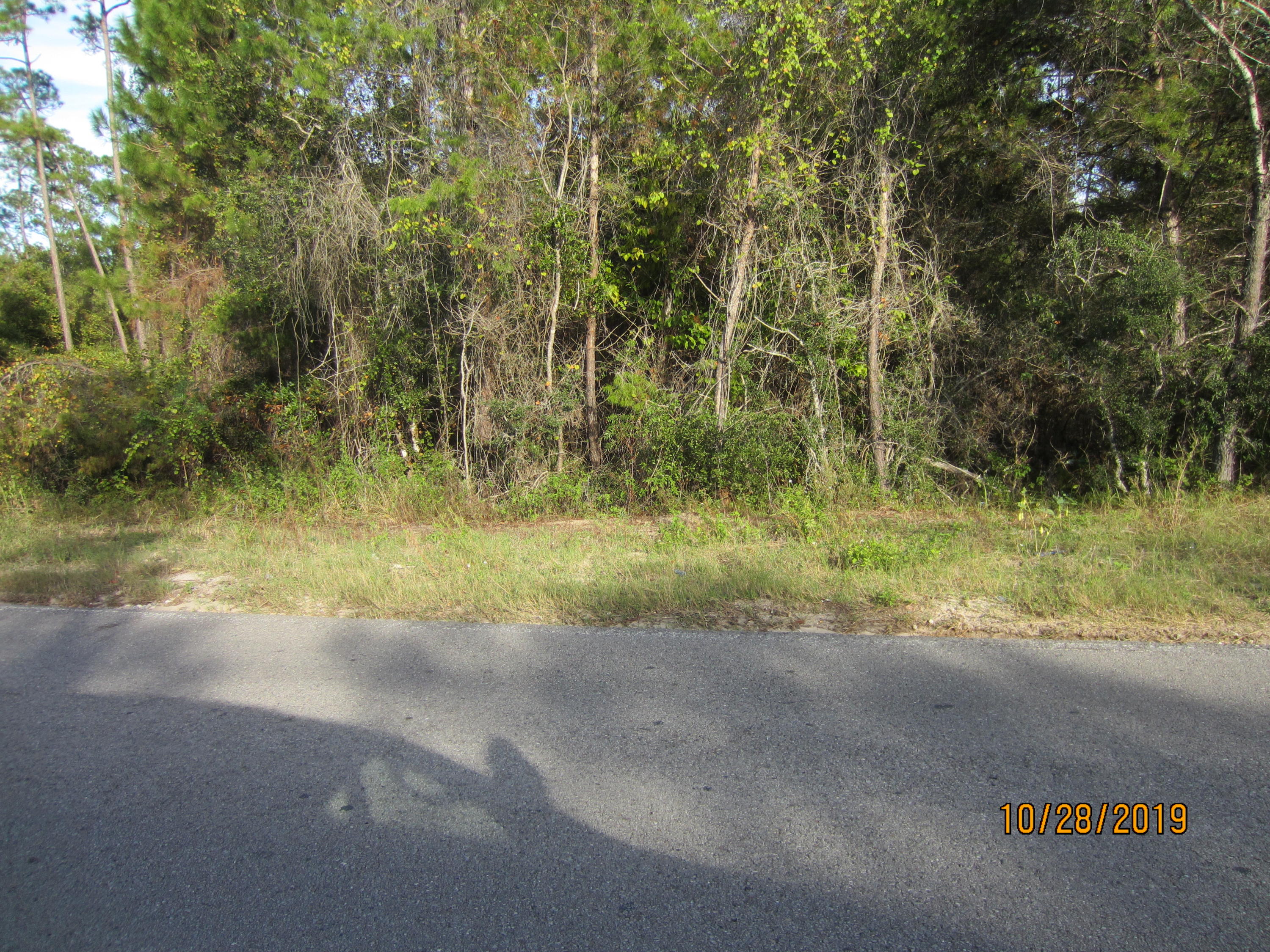 5 acres +/- strategically located only 1/2 mile or so from the Gulf of Mexico. Great place to build that beach home. The property is close enough to the Gulf of Mexico that you can actually walk, bike or ride a golf cart easily for a swim or fish. Gulf Pace is to the South about 1/2 mile where quality restaurants, retail shopping and other services are available. To the North about 1/2 mile there is a busy intersection (Hwy 98 & 393) with service stations, banks and many other services. The 5.7 acres is heavily wooded with thick underbrush. This property is classified largely as ''WETLANDS'' and will be restricted by governing agencies to a single family home on a specific location. Development will likely be limited to the ''footprint'' designated for the home.