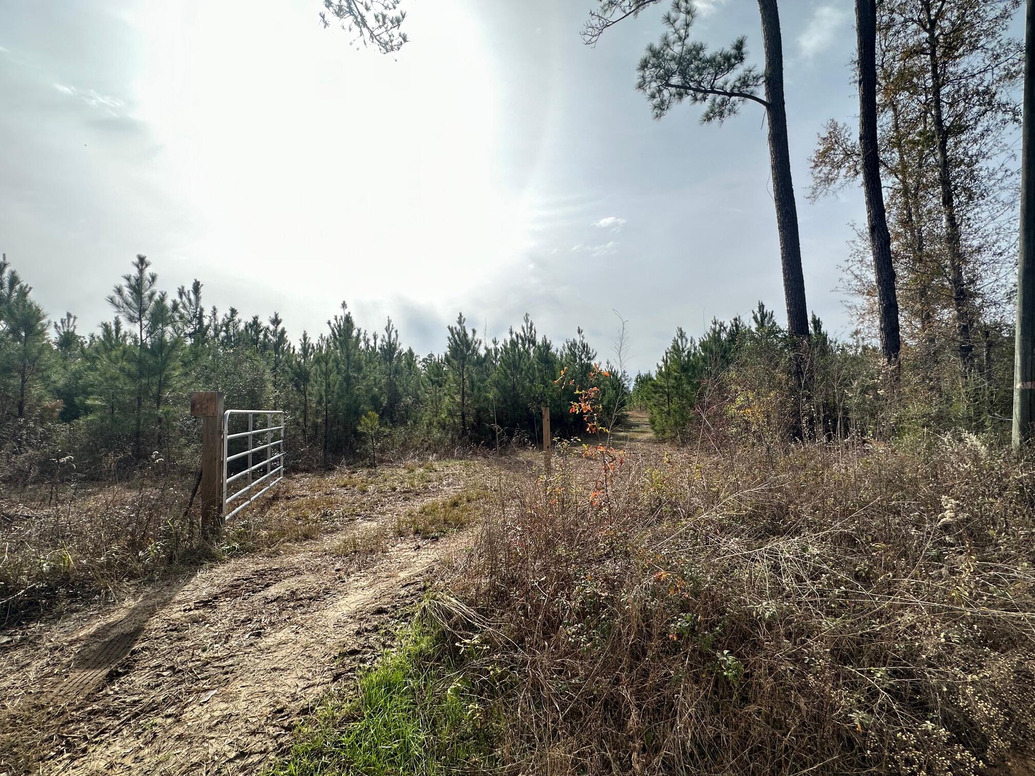 Dream Location for  Hunters Paradise either way you won't want to miss this opportunity! This Beautiful 44 +/- Acres of prime land has so much to offer. Bring your  hunting gear, Horses, and ATVS LOCATION LOCATION!!!! This Property has Easy Access to Hwy 2, Hwy 90 and I-10
