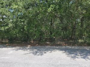 Fantastic lot with deeded beach access. Easily bike to Alys Beach, Rosemary Beach. Very few large lots left on east end of 30A. Short term rentals allowed.  Whites Gulfview Estates' owners have golf cart parking availability at their  beach access.
