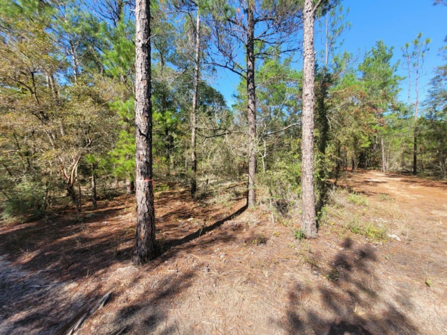 OAKWOOD HILLS UNIT 2 - Land
