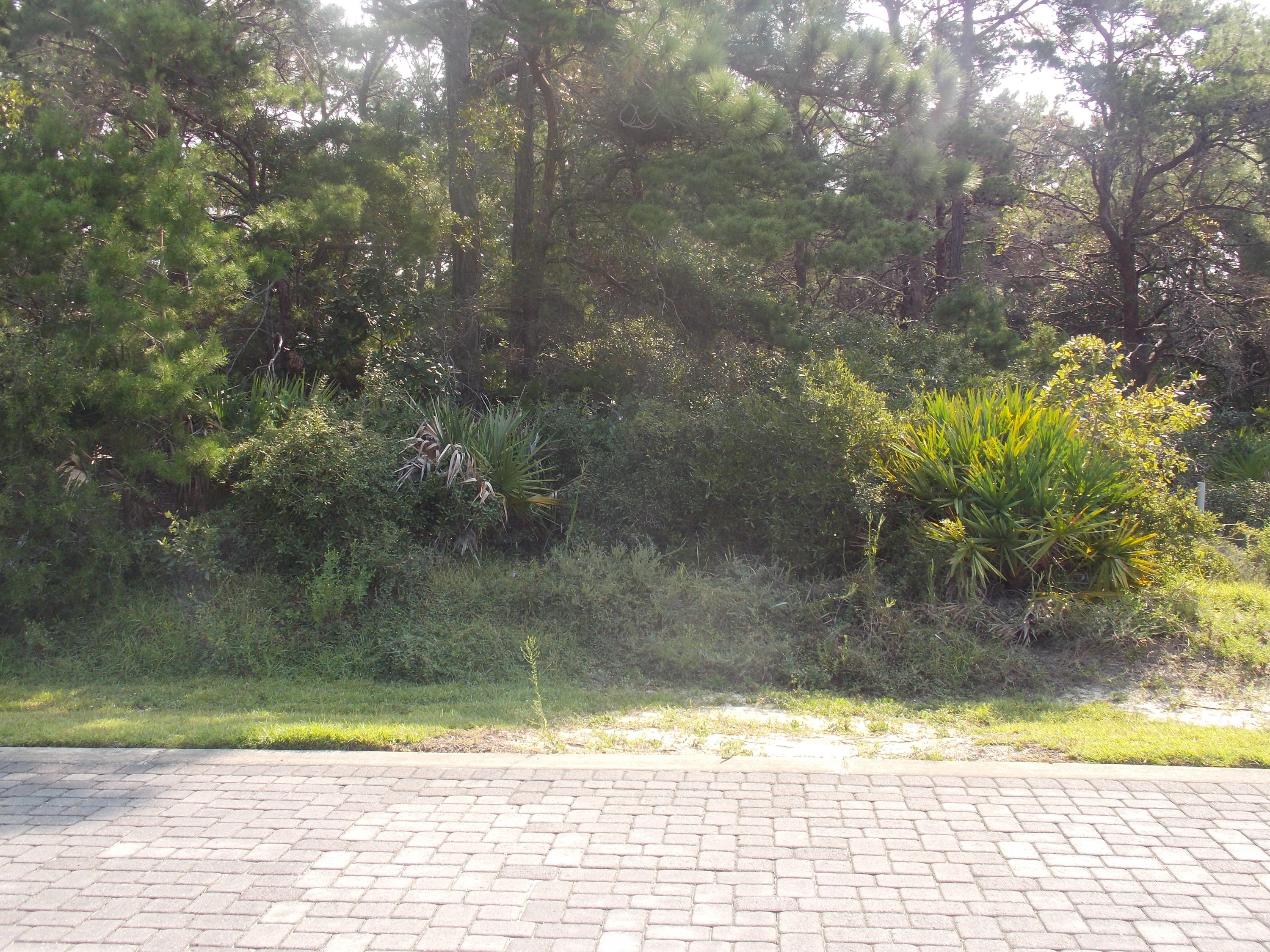 FRANGISTA BEACH - Land