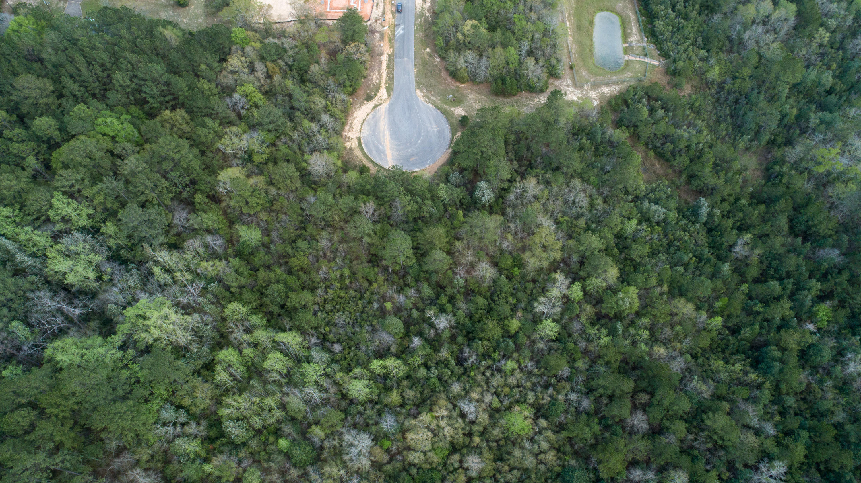 WILLOW CREEK PLANTATION - Land