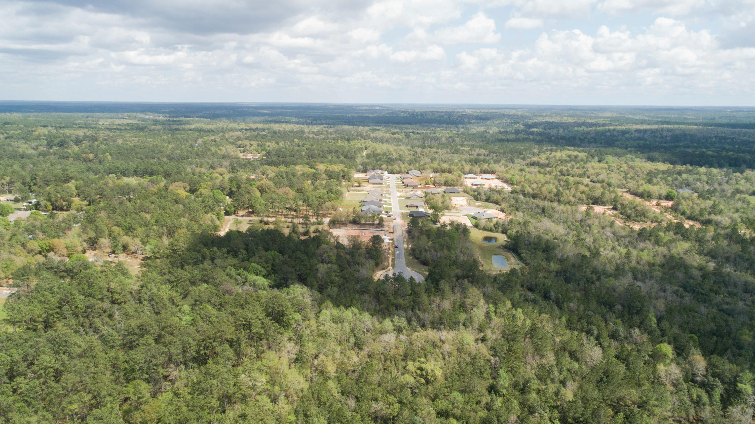WILLOW CREEK PLANTATION - Land