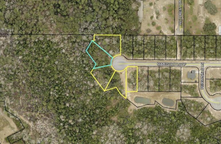 WILLOW CREEK PLANTATION - Land