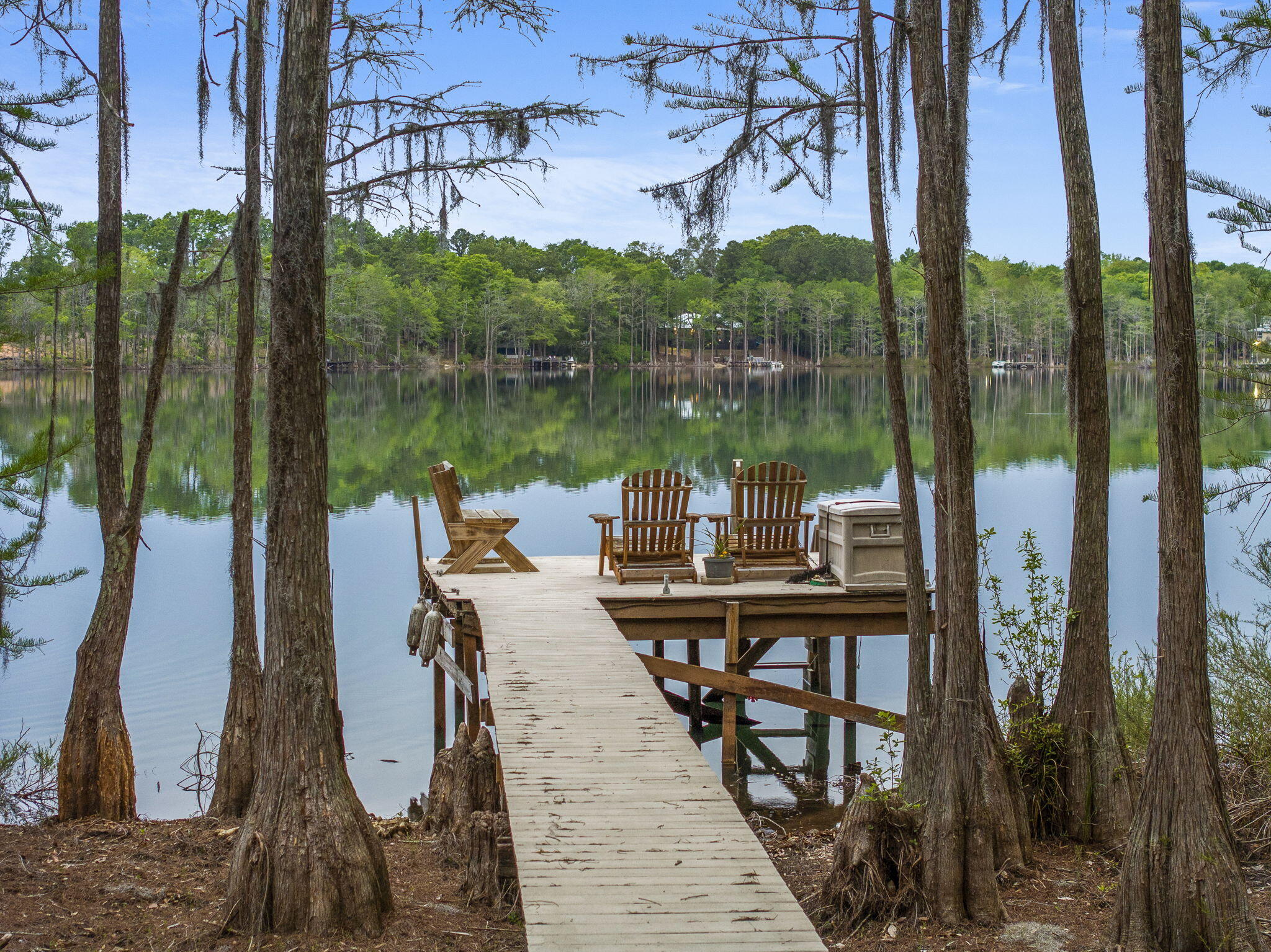 BLUE CYPRESS
BLUELAKE COUNTRY ESTATES - Residential