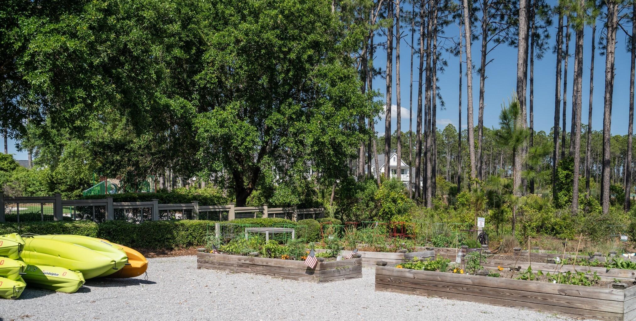 Naturewalk  at Watersound Origins - Residential