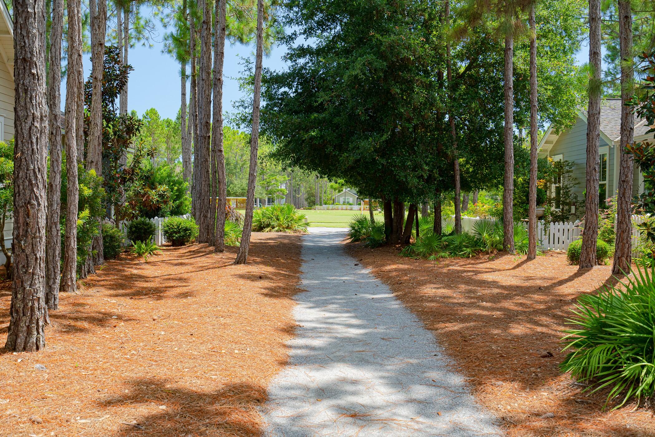 Naturewalk  at Watersound Origins - Residential