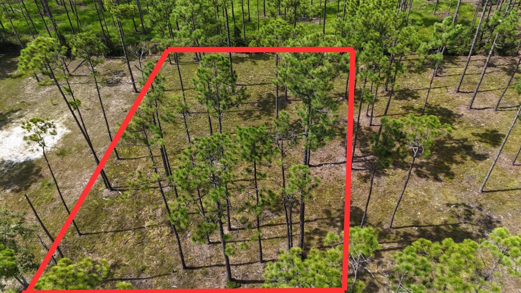Presenting a prime opportunity to own a .30-acre residential lot located in the highly sought-after Santa Rosa Beach community. This property is ideally positioned just minutes from 30a offering close proximity to world-class beaches, dining, shopping, and recreational amenities.

The lot is perfect for providing a blank canvas to build a custom home, vacation retreat, or investment property tailored to your needs.

Property Highlights:
- Lot Size: .30 Acres
-Desirable Location Near 30A and the Gulf of Mexico
 -Convenient Access to Highway 98
-No HOA (if applicable)
-Excellent Potential for Permanent or Seasonal Use

Don't miss this rare opportunity to own land in one of the most desirable coastal areas in Northwest Florida
