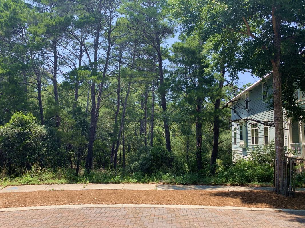 Amazing opportunity to own one of the largest, most private homesites remaining in Forest Lakes, which is nestled in the heart of Blue Mountain Beach on 30A! 
This spectacular lot is oversized and has gorgeous magnolias, oaks, and pine trees. This spacious property has an oversized buildable footprint and can potentially accommodate a grand home with a large garage/carriage house and even a private pool! There is no build out time, so buy today and build your dream beach home on 30A when you are ready. 
Amenities include gated entry, a 2 tier community pool and clubhouse with an outdoor fireplace and grilling area, a large community green space, playground, state forest access, and a beautiful community lake.