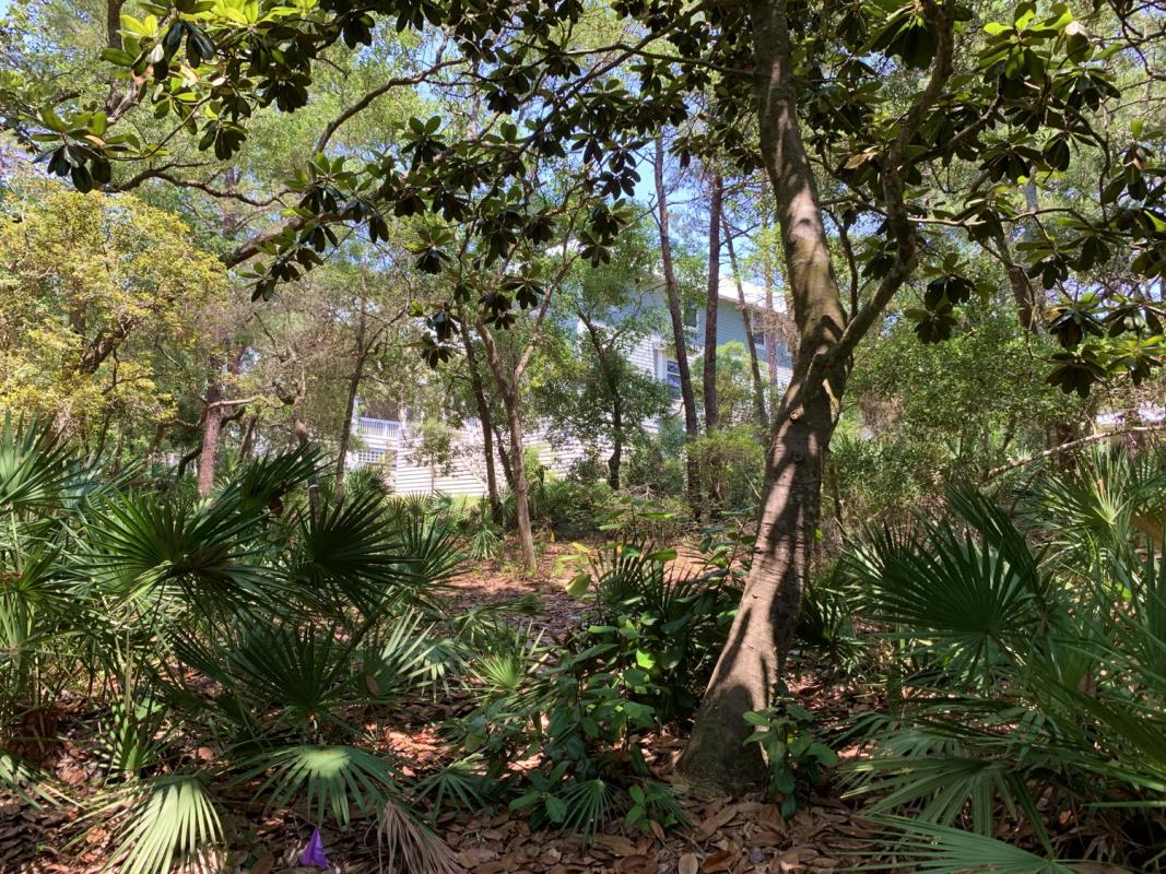 Forest Lakes - Land