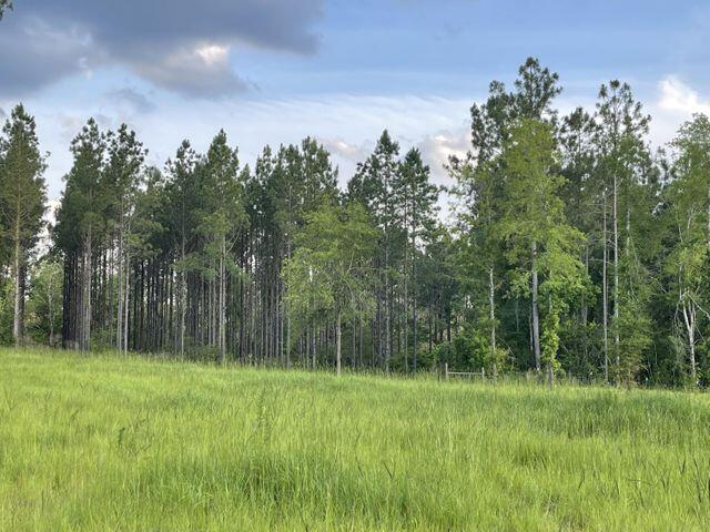 Bring your build plans today! This is the perfect 22+/- Acre lot waiting for you to make your forever home!!  This property features 4 RV sites, 3880 Sq ft red iron shop, 2160 Sq ft pole barn, 12x24 pole barn, pasture, pond, and a old farm barn!! Just a short drive to local beaches, schools and shopping!

By appointment only, Real estate agents to accompany.