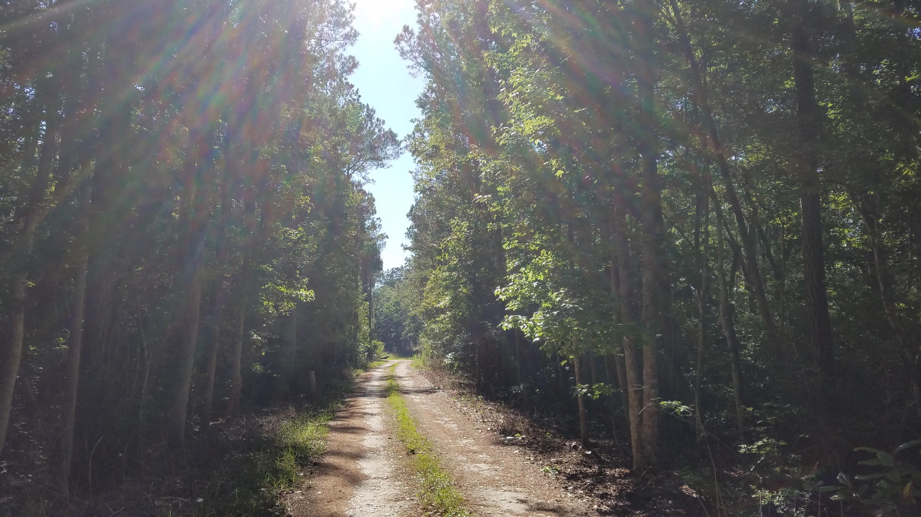 MAGNOLIA BEACH - Land