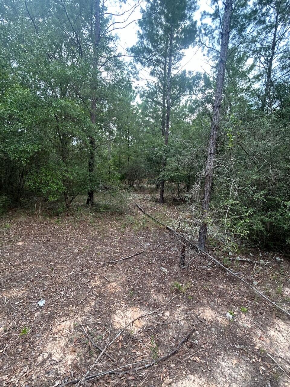 OAKWOOD HILLS UNIT 3 - Land