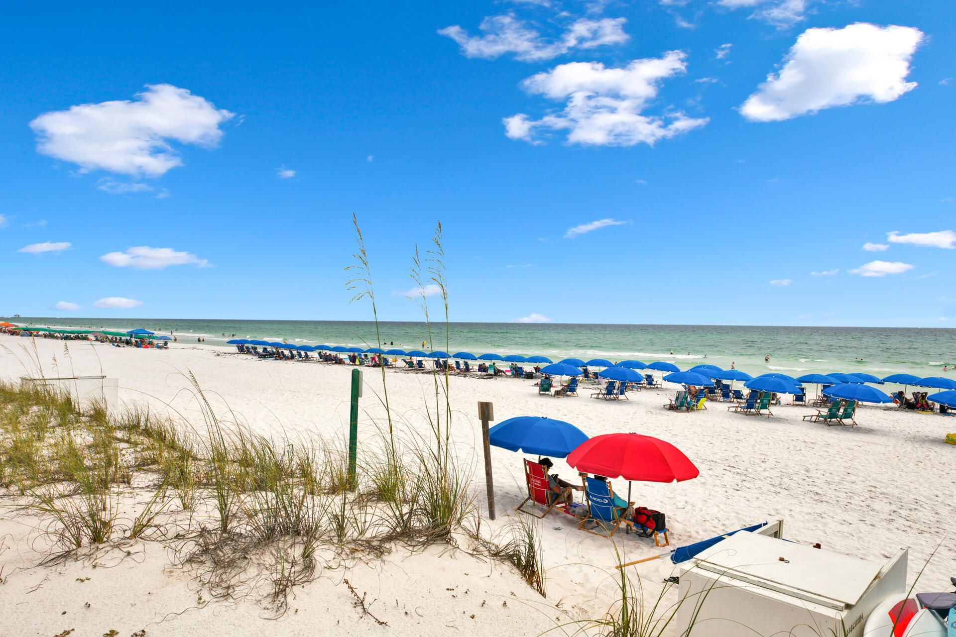 ISLANDER BEACH RESORT & CONDO - Residential