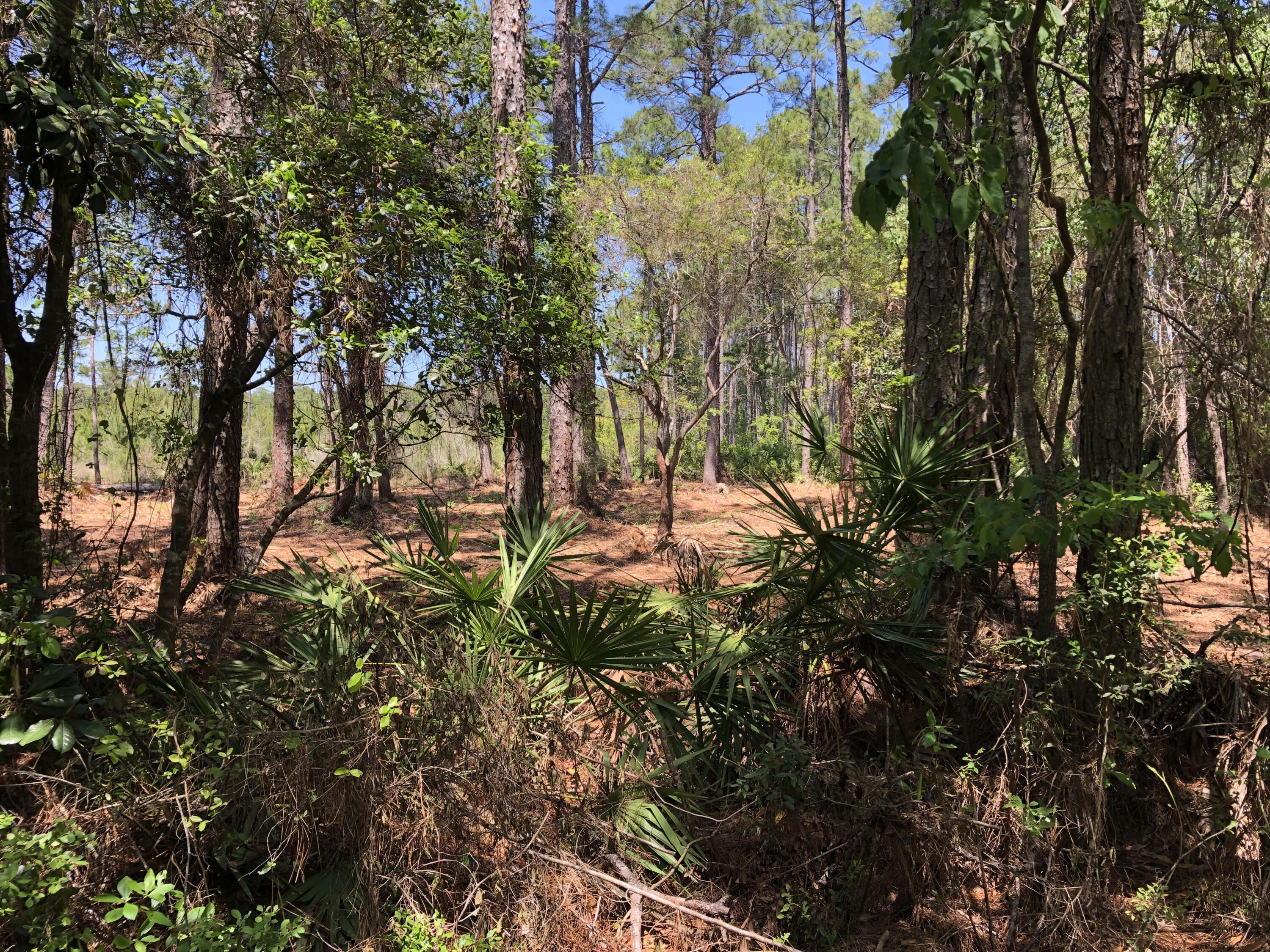 GULF HILLS ESTATES UNREC - Land