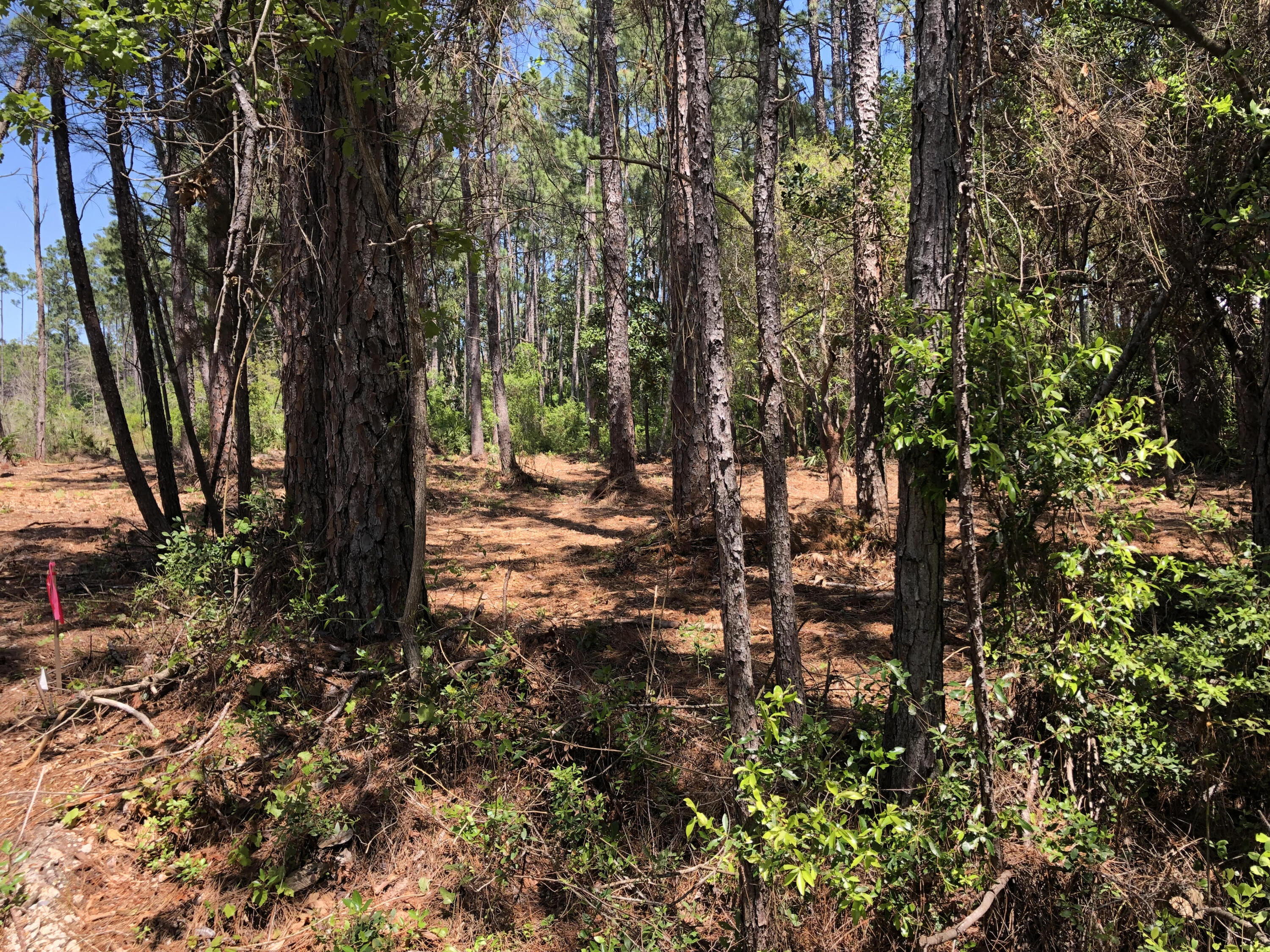 GULF HILLS ESTATES UNREC - Land