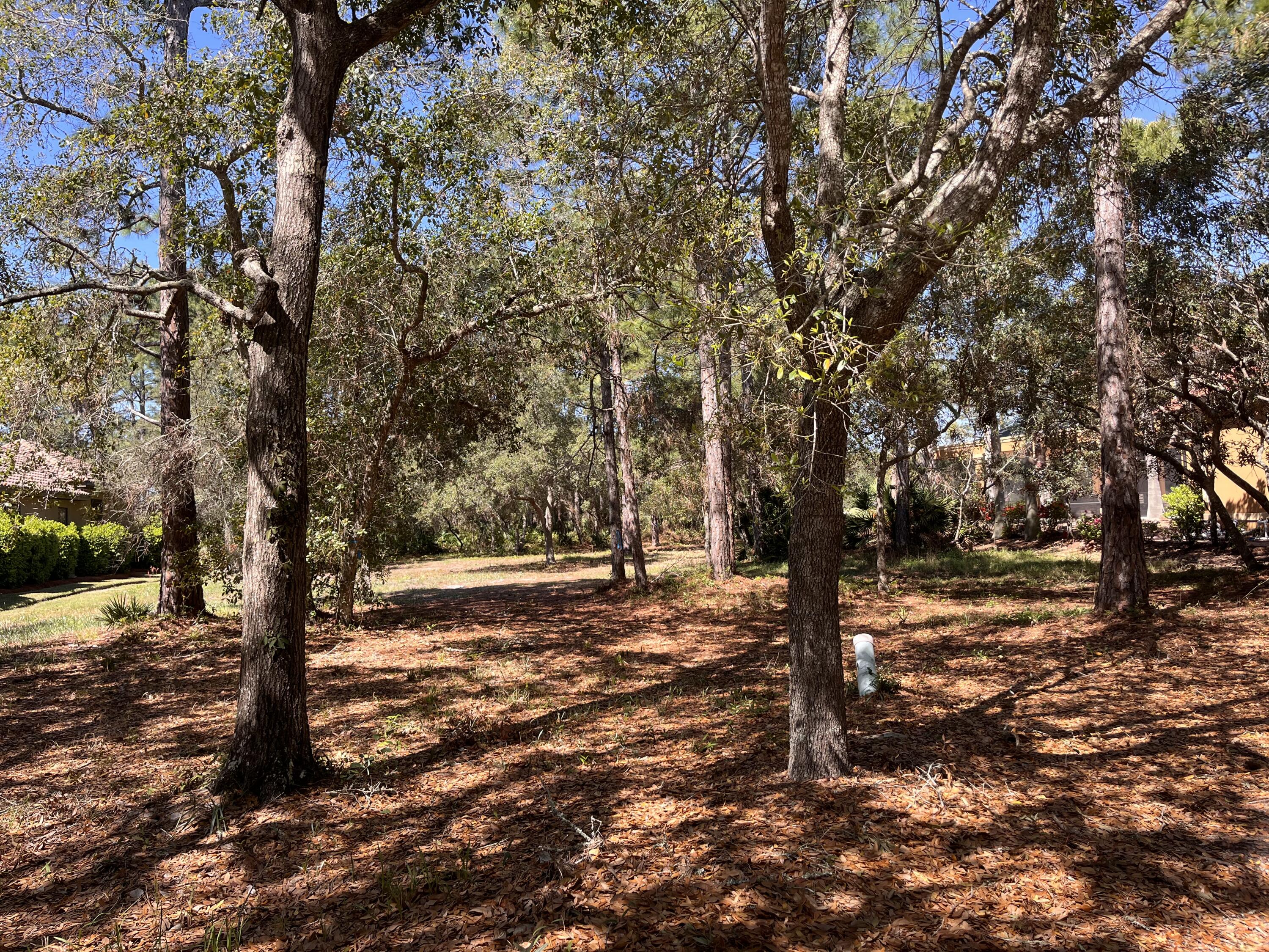 Build your dream home on this exceptional home site located on the 2nd Green in the Burnt Pine community. This spacious lot offers the perfect opportunity to create a custom residence in one of the Emerald Coast's most sought-after gated neighborhoods.

Nestled among lush landscaping and elegant estate homes, this private and serene setting provides easy access to world-class amenities, including championship golf courses, a private marina, tennis courts, and miles of scenic walking and biking trails. Sandestin's vibrant Village of Baytowne Wharf, with its shopping, dining, and entertainment options, is just minutes away. Plus, you'll enjoy access to the stunning sugar-white beaches and emerald waters of the Gulf of Mexico.

With no build-out time requirements, you have the flexibility to design and construct your ideal retreat at your own pace. Don't miss this rare opportunity to own a piece of paradise in Burnt Pine! 

This lot feels like your own private retreat with it's private street access in the Neighborhood

Contact us today for more details!