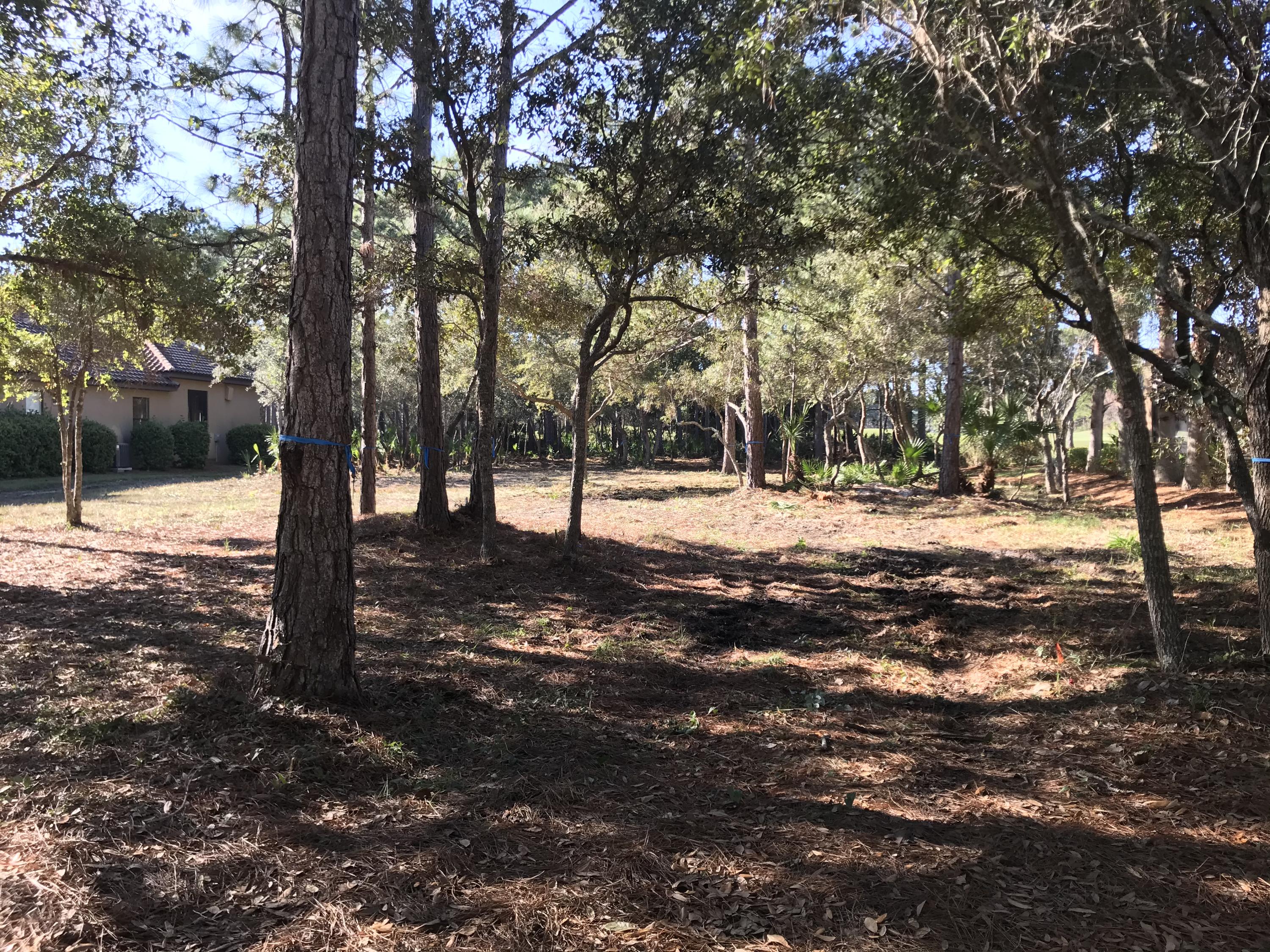 BURNT PINE - Land