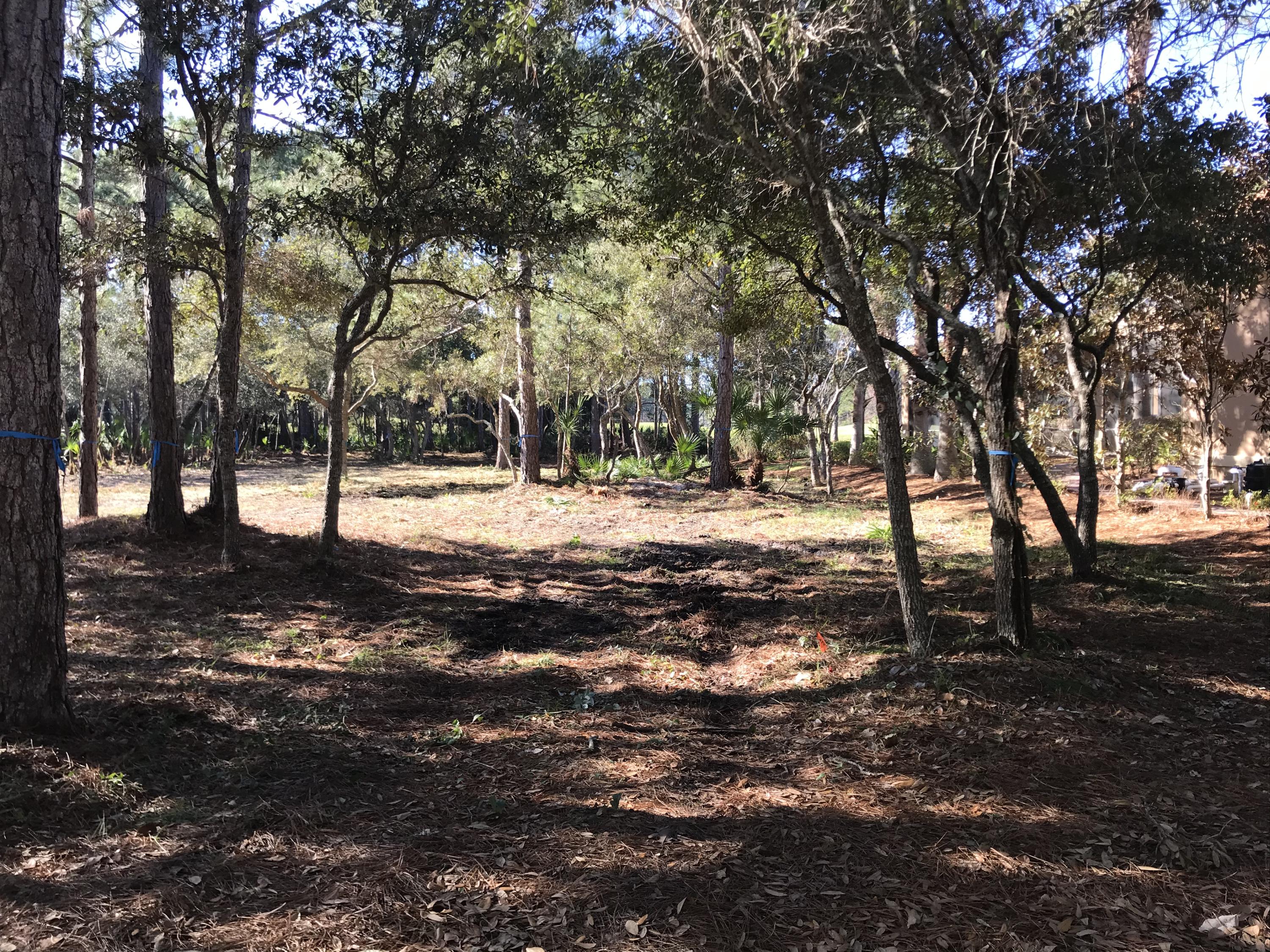 BURNT PINE - Land