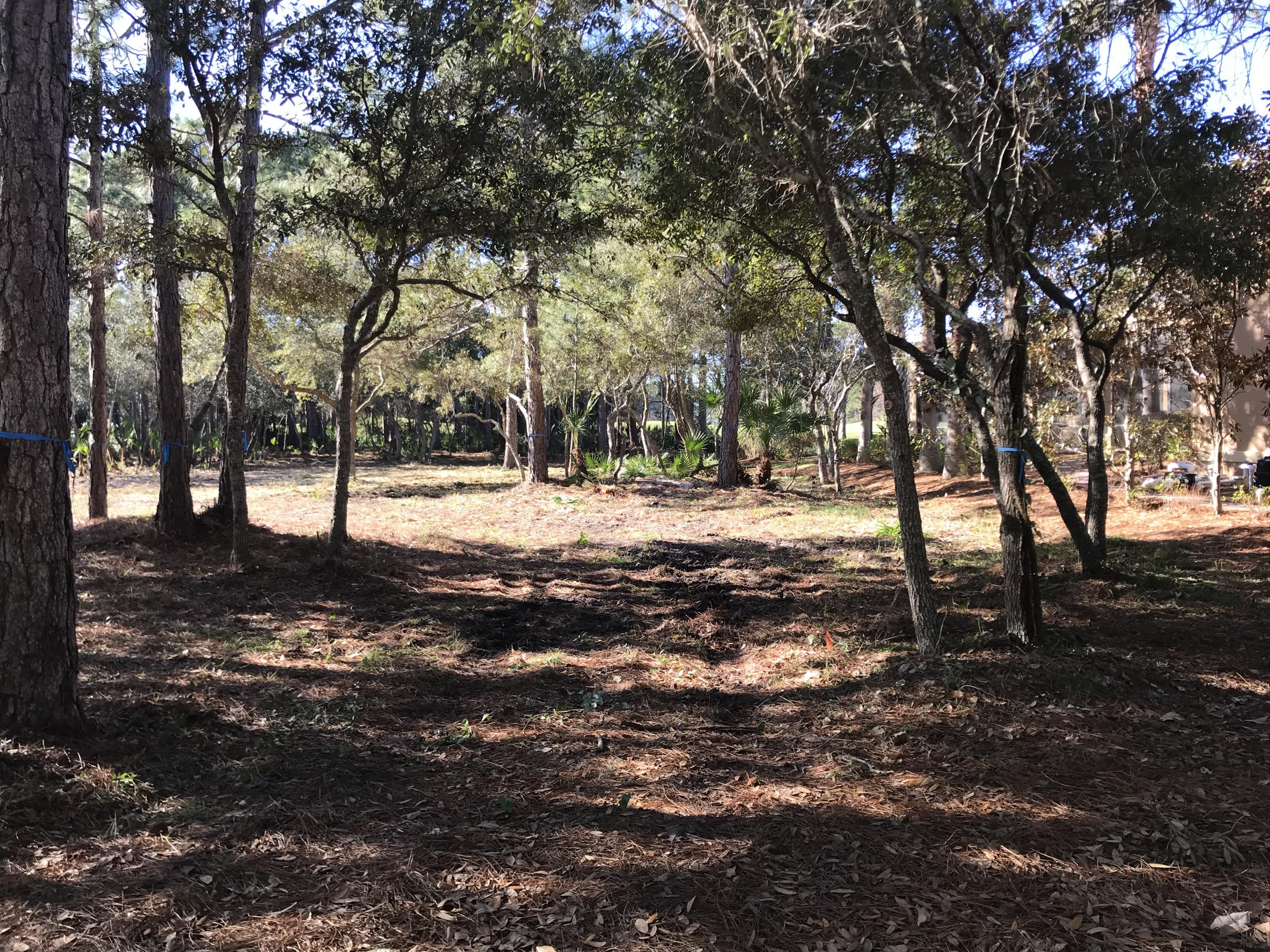 BURNT PINE - Land