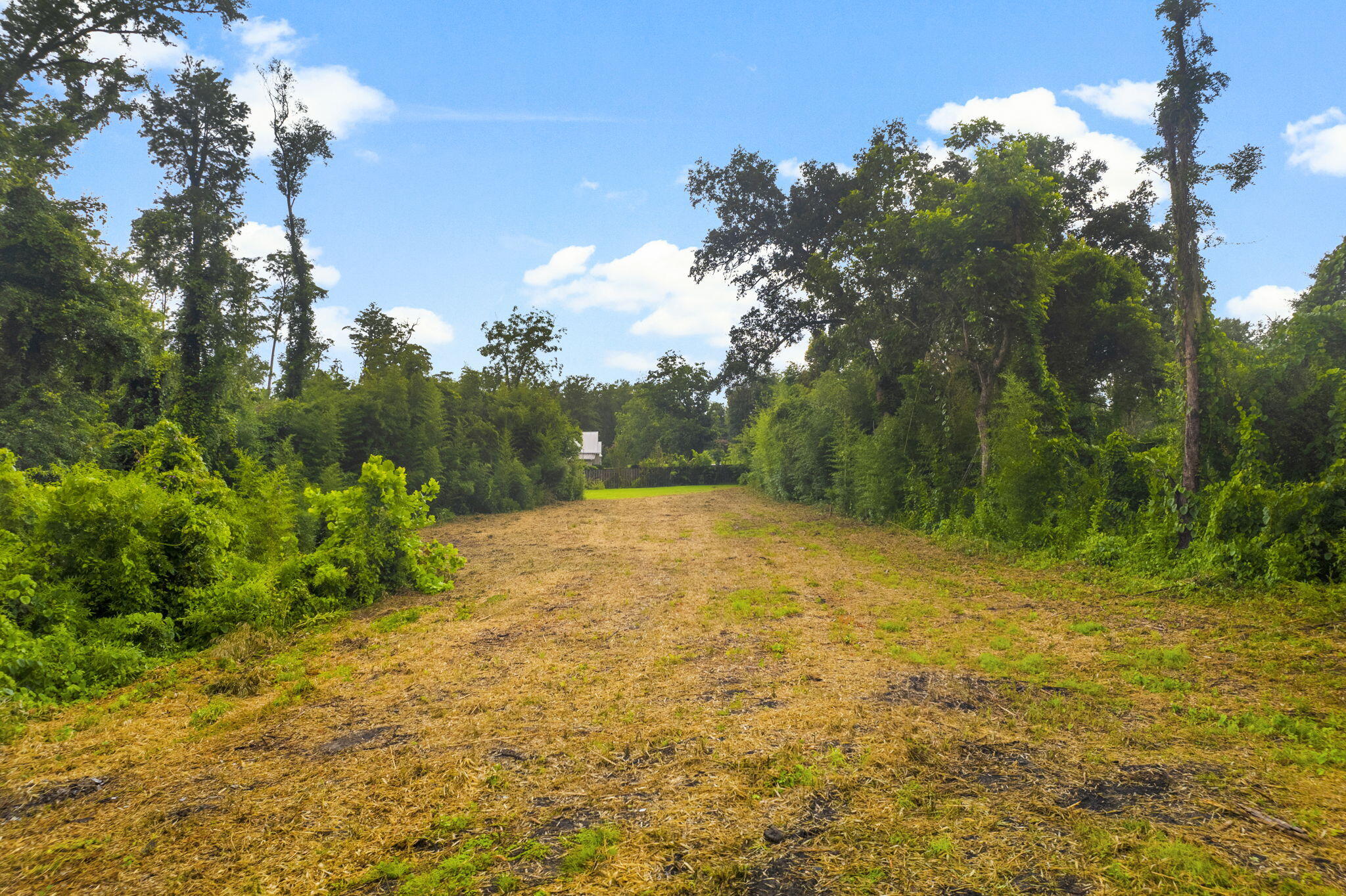 COLLEGE PARK - Land