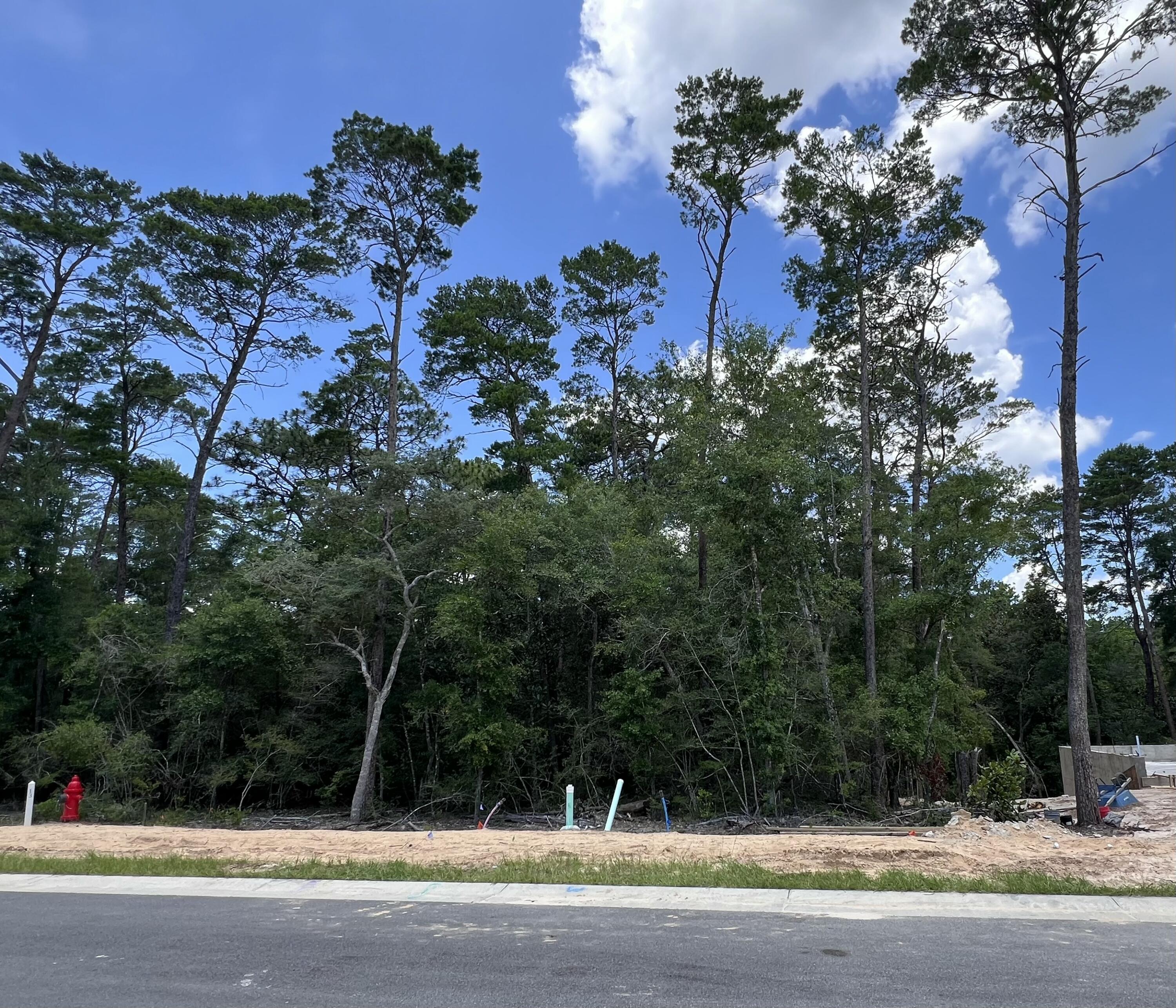 Beautiful lot in the desirable and new Deer Moss Creek Phase 11! Deer Moss Creek® is an 1,100- acre, master-planned, mixed-use community in Niceville, FL. Community plans include a nature trail, bike lanes, parks, pools, office and retail space. Sidewalks are 5' wide and home plans must be approved by the Town Architect. Build your dream home in the beautiful Deer Moss Creek community!