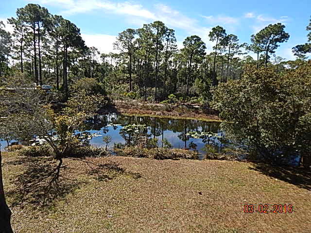 OLDE FLORIDA LAKES - Residential Lease