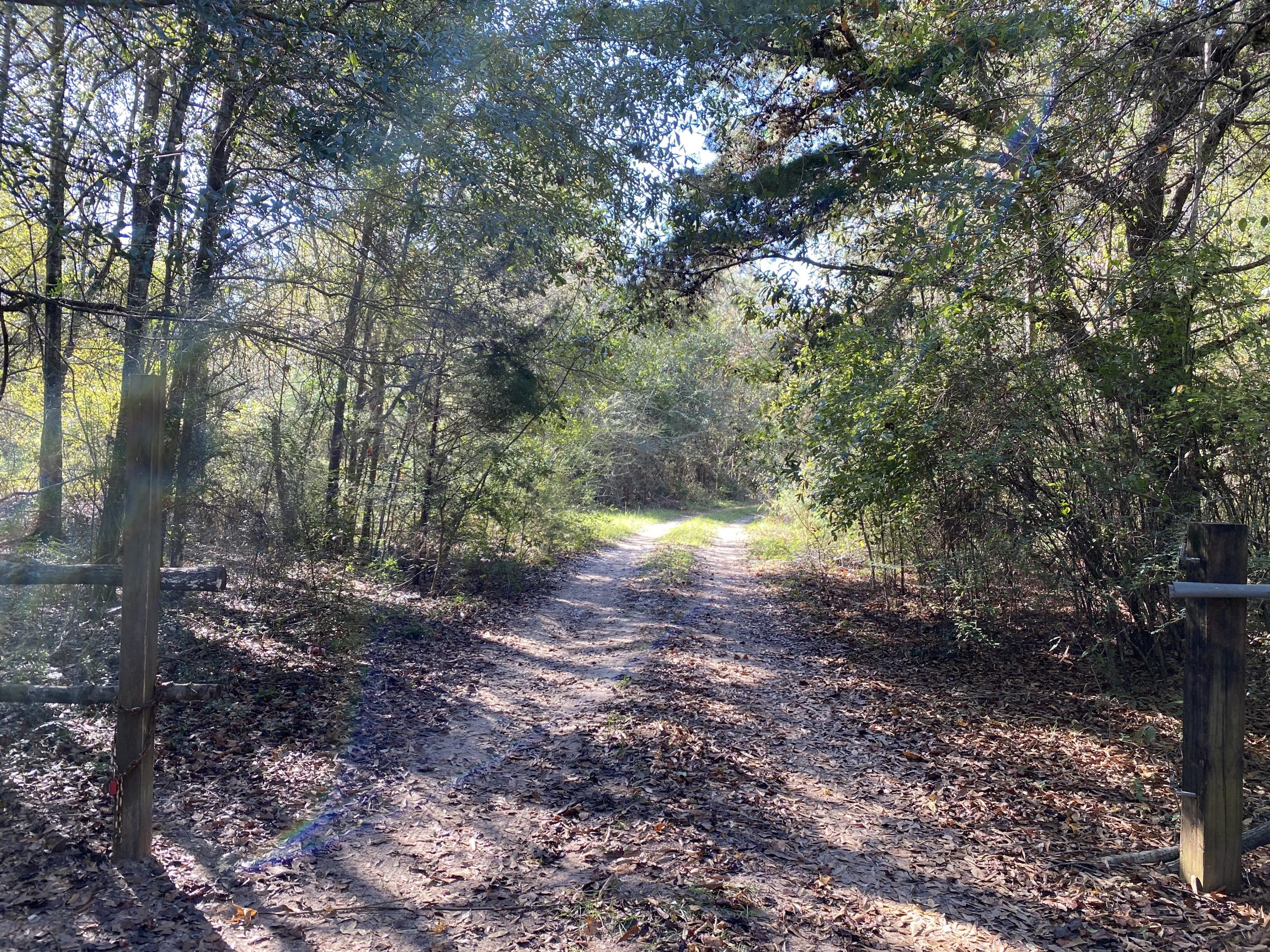 Acreage on a paved rd in Baker! Power and Water in place! Fixer upper or demo and bring your home in! Great location!
