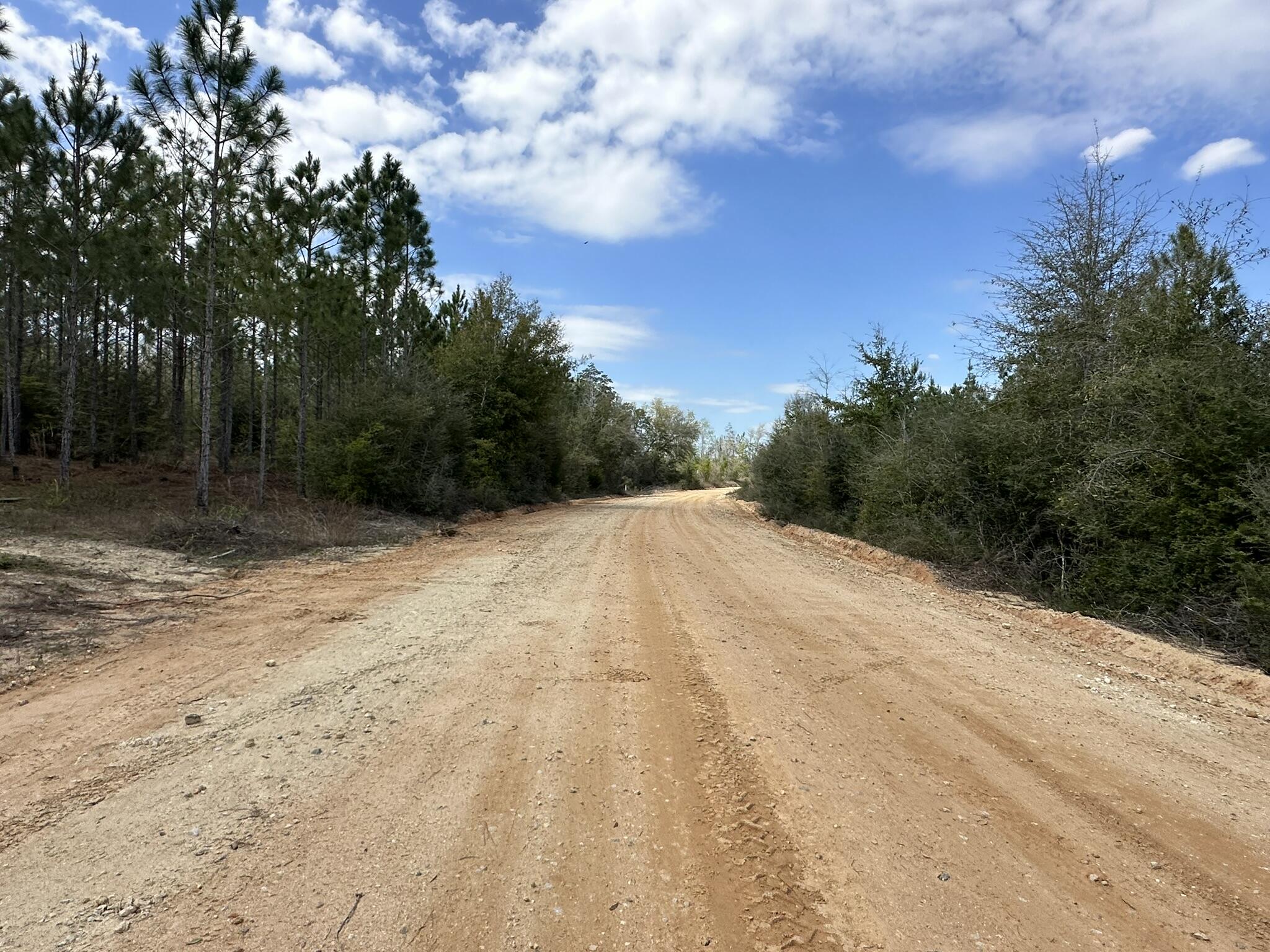 Dreaming of space, privacy, and the freedom to create your own retreat? This beautiful tract offers a peaceful setting with young planted pines and plenty of room to bring your vision to life. Whether you're looking for a place to enjoy the outdoors, set up for recreation, or simply have room to spread out, this property delivers. Ideal for those who appreciate wide open land and a quiet environment, with the flexibility to use it your way. Deed restrictions apply--see documents section for details. Additional land may be available.