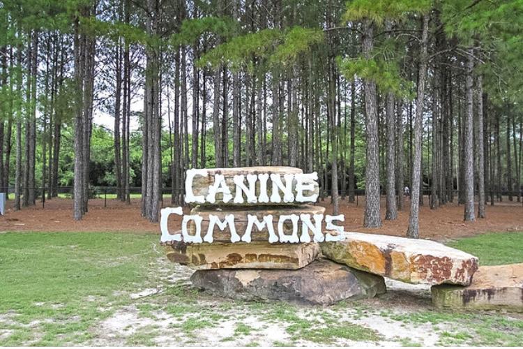 HAMMOCK BAY - Residential Lease