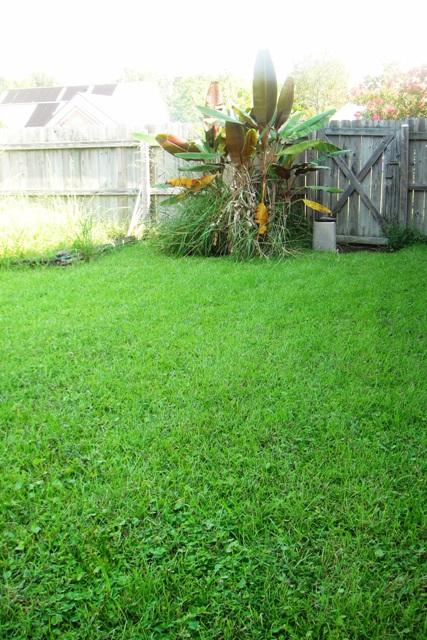 PARISH PINES - Residential Lease