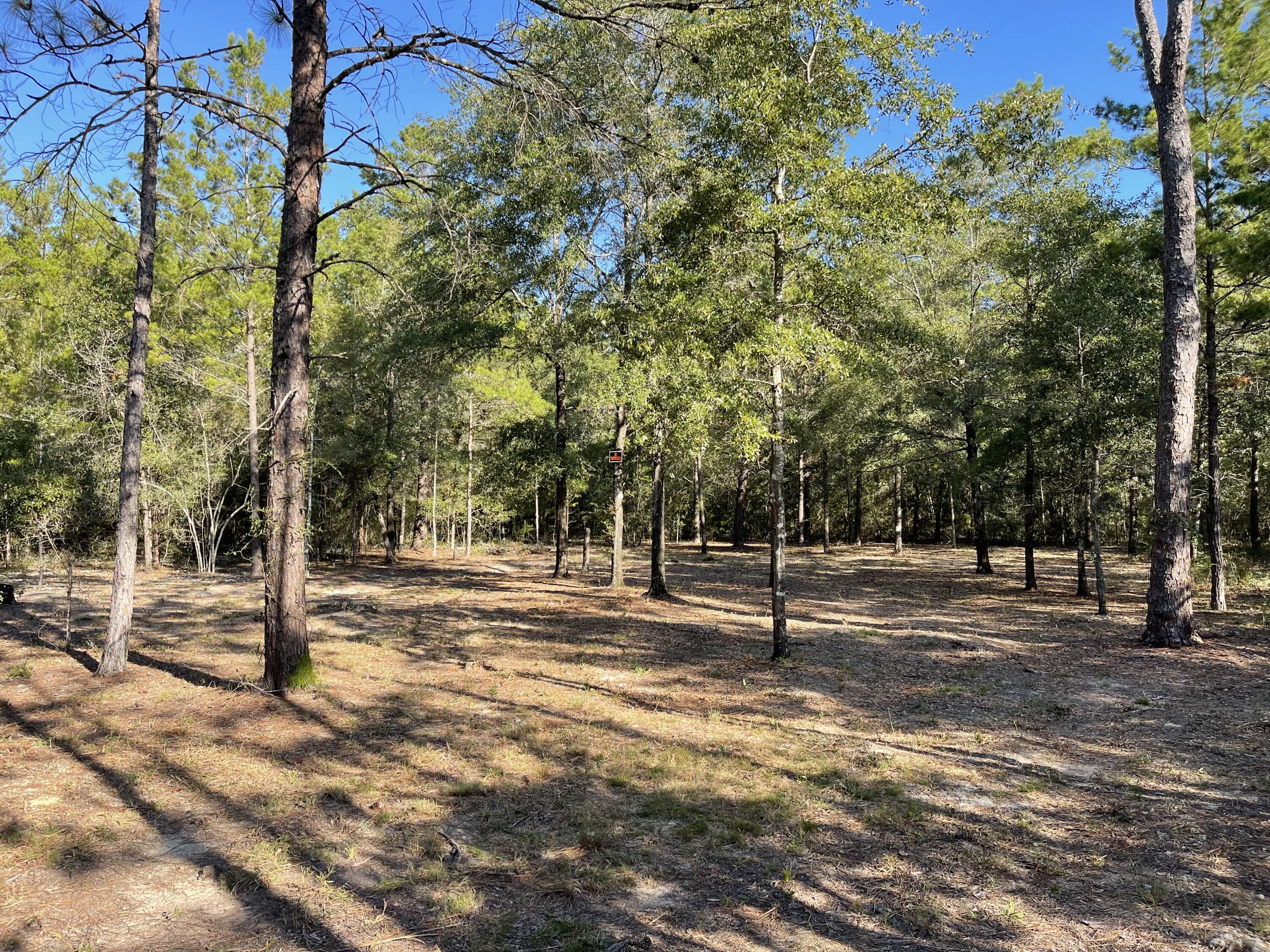 OAKWOOD HILLS UNIT II - Land