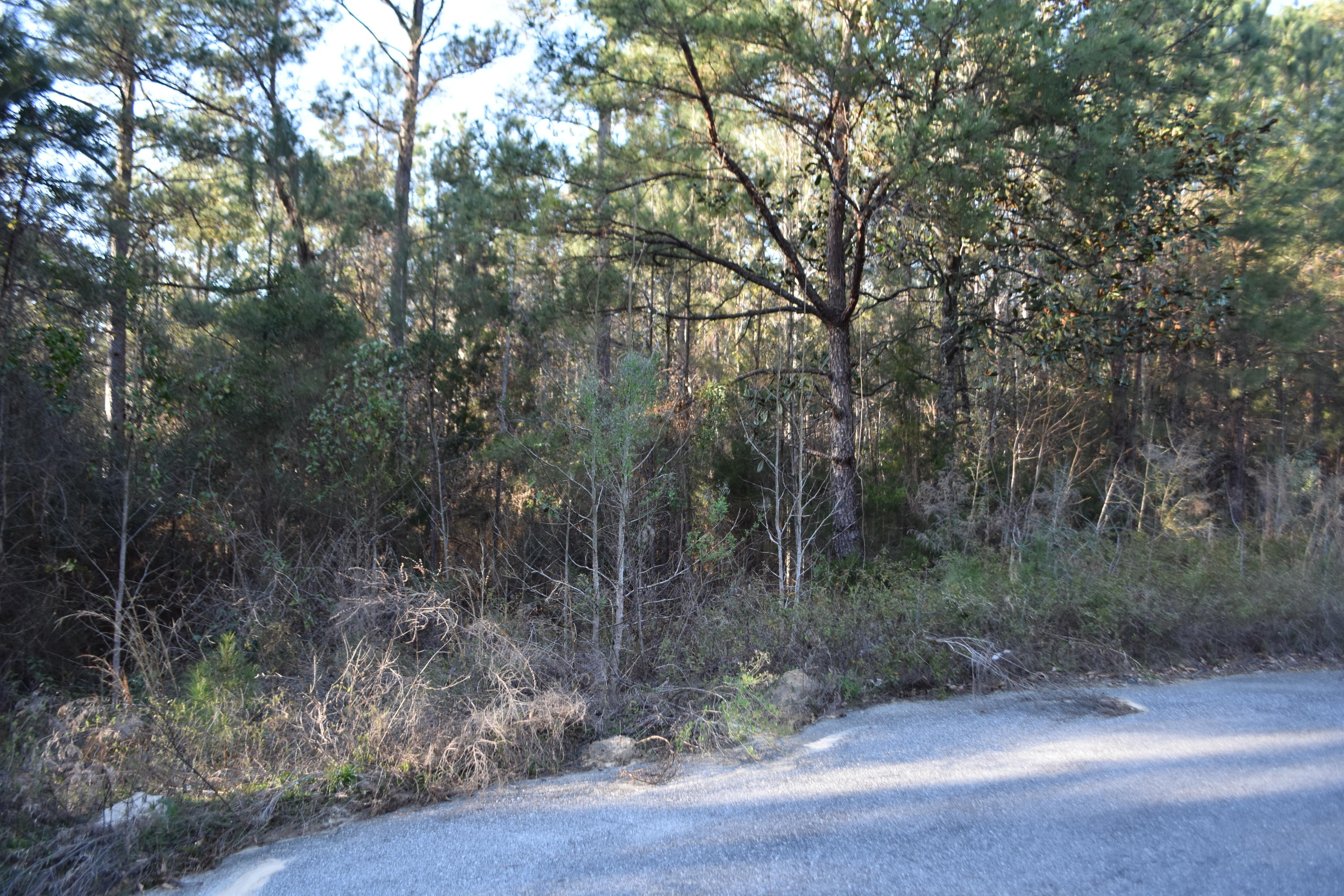 Pleasant Ridge Estates, Unrec - Land