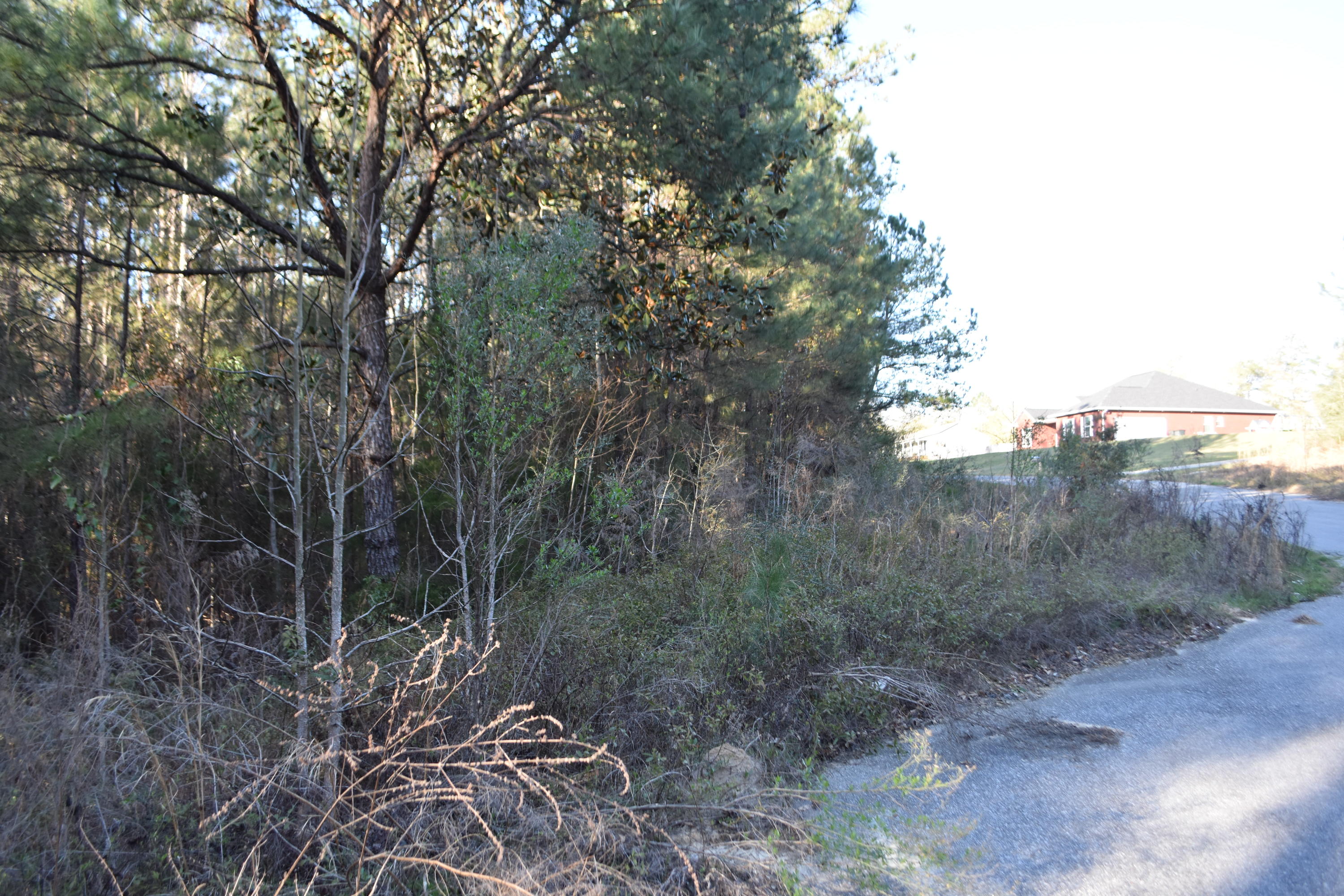 Pleasant Ridge Estates, Unrec - Land